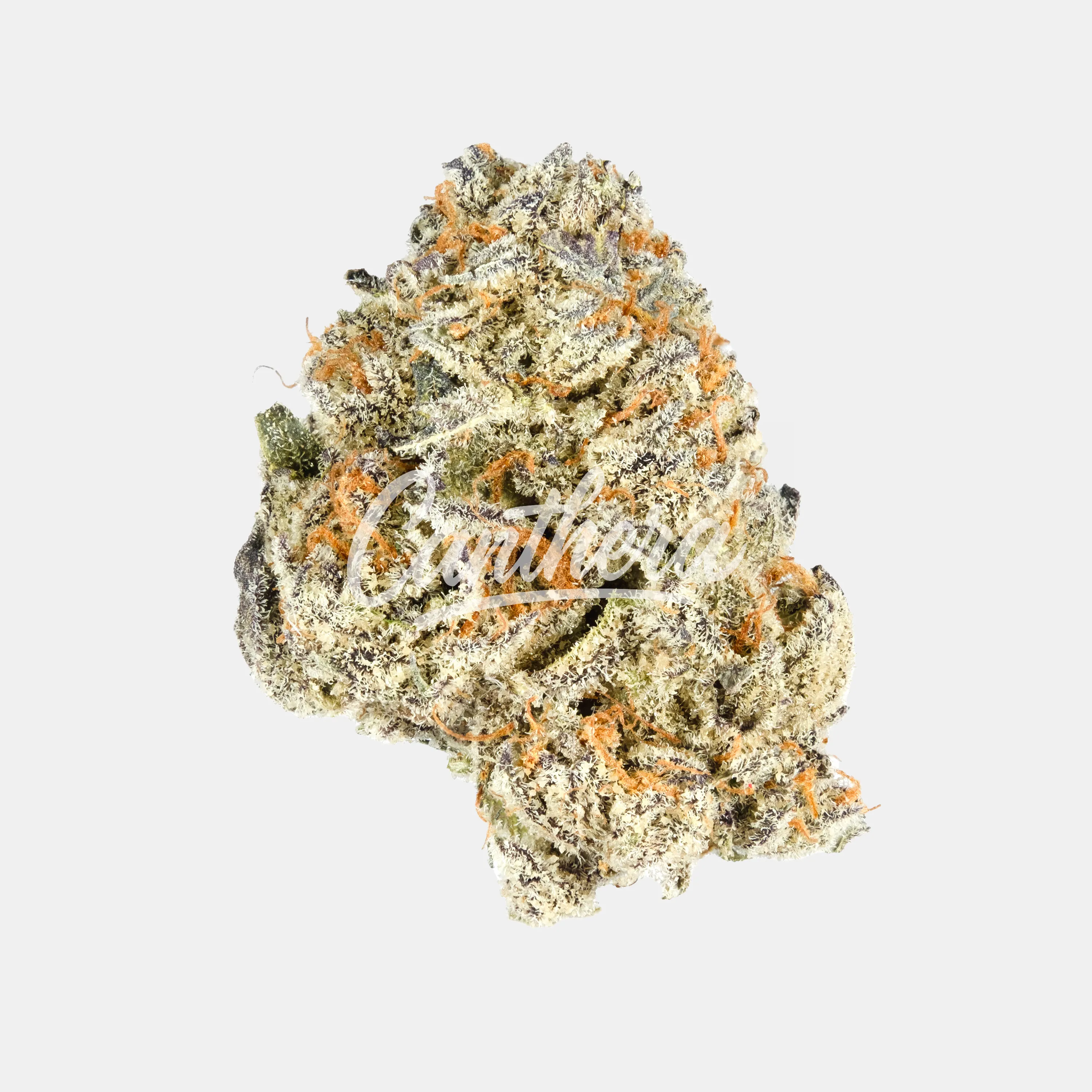 420 Compound 30/1 CA BER - Berlin Berries 420 Compound 30/1 CA BER - Berlin Berries