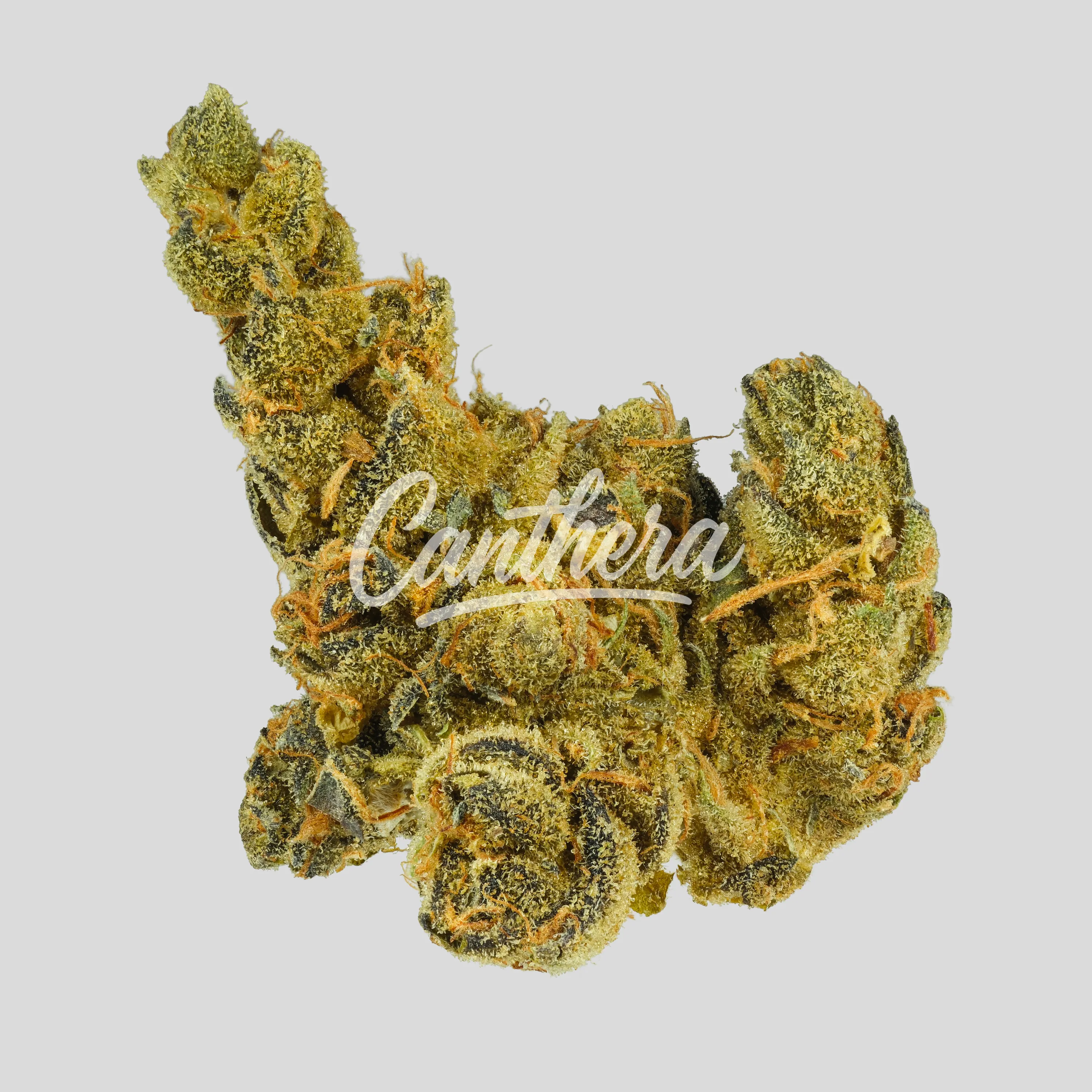 LOT 420 AB PT - Apples & Bananas LOT 420 AB PT - Apples & Bananas