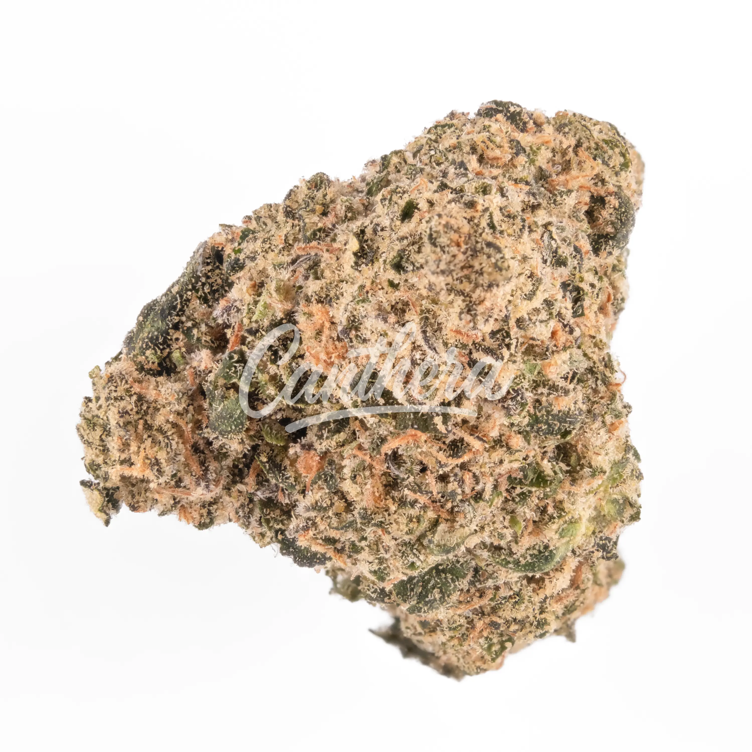 enua 27/1 GPU - Gastro Pop Ultra enua 27/1 GPU - Gastro Pop Ultra