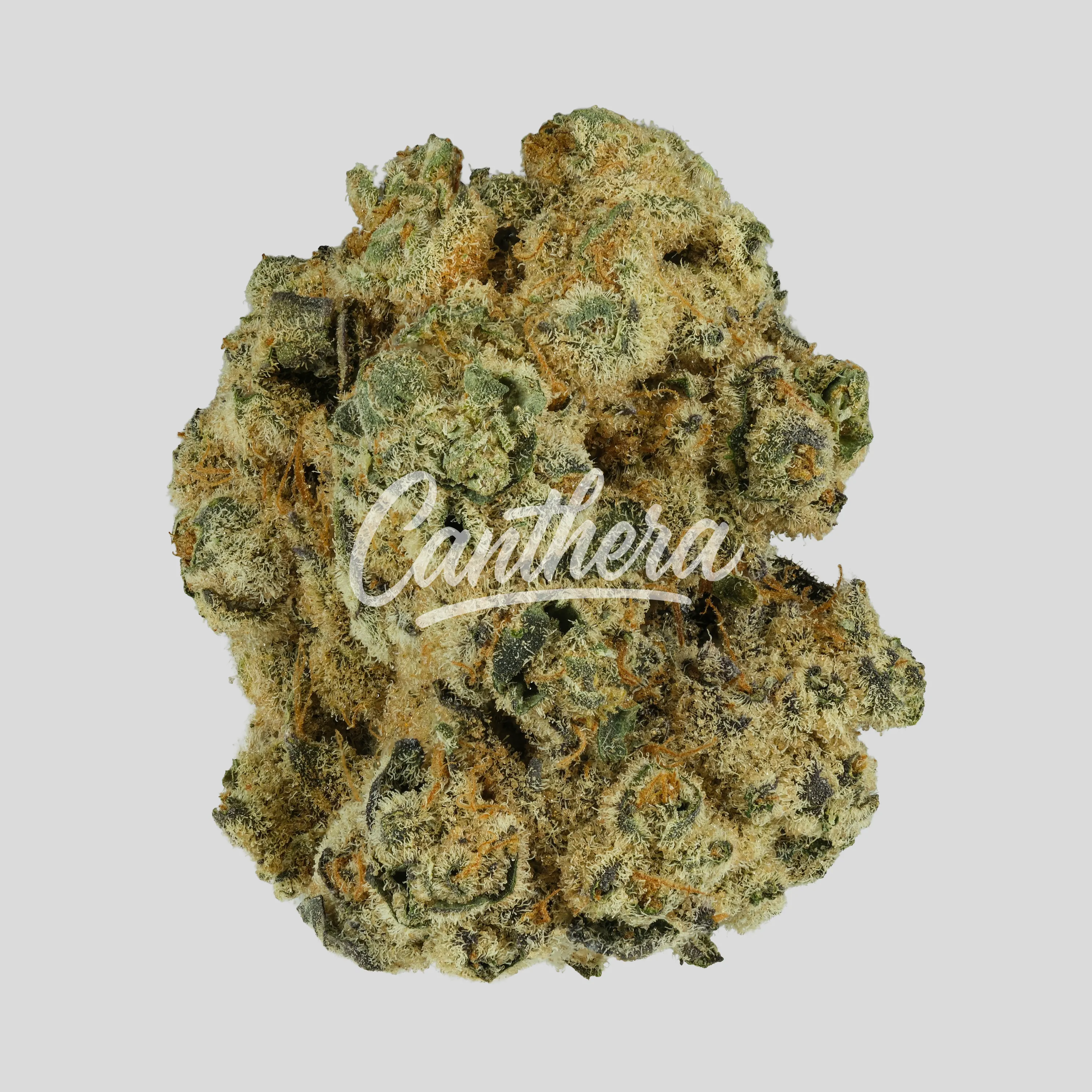 Remexian 33/1 MTL DIN - Dante'z Inferno Remexian 33/1 MTL DIN - Dante'z Inferno