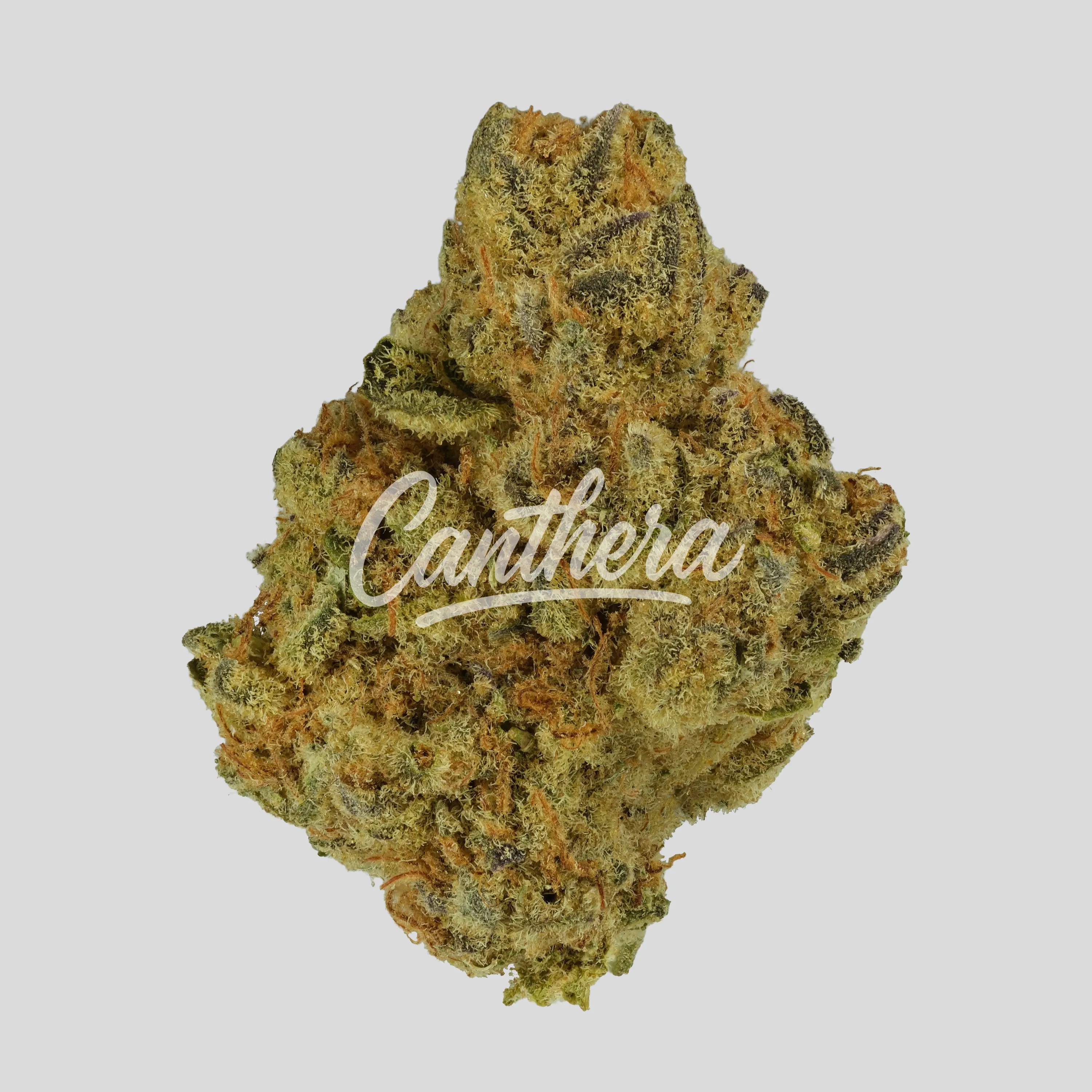 Remexian 21/1 RAS ALB - Astral Berry