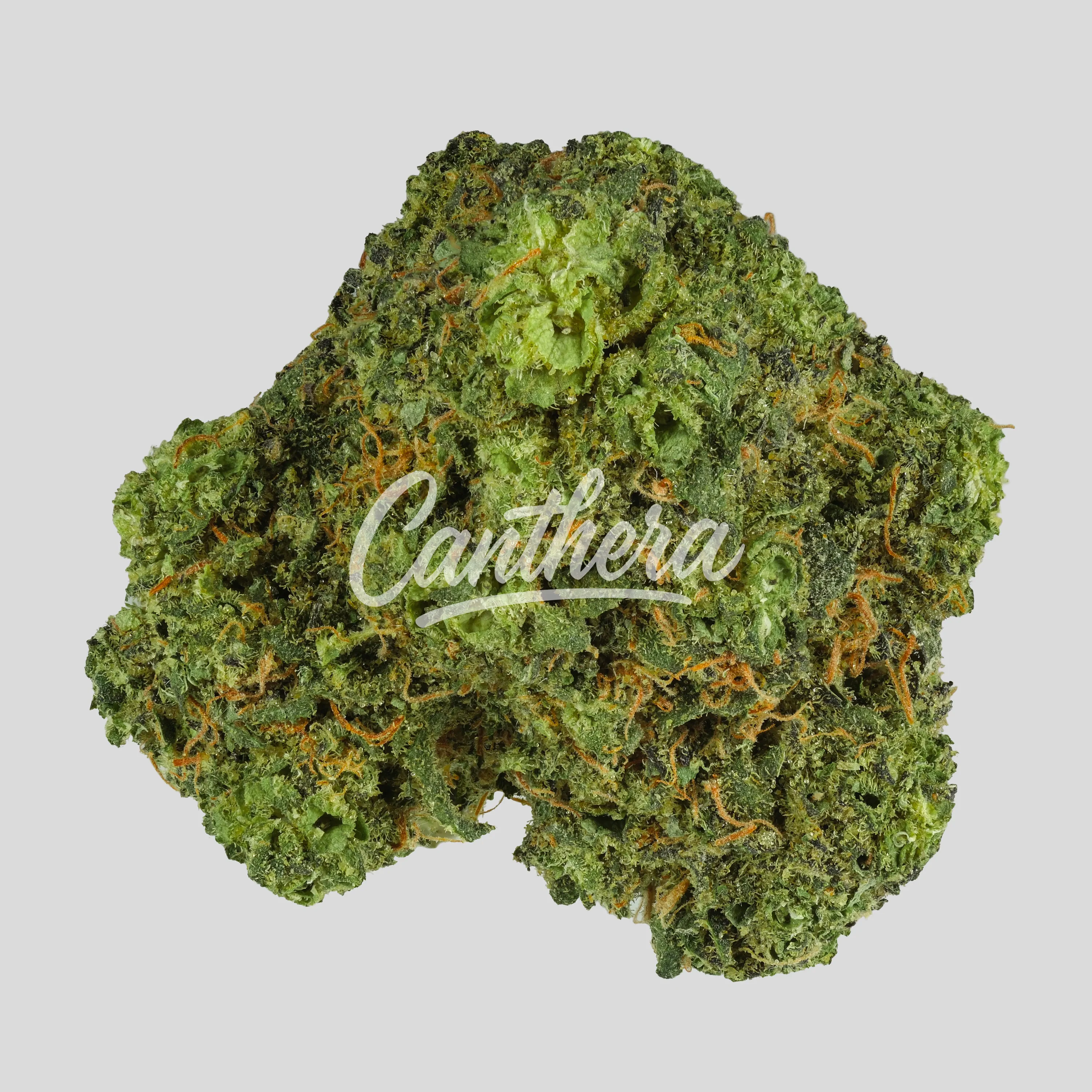 enua 30/1 JGF - Jungle Fumes