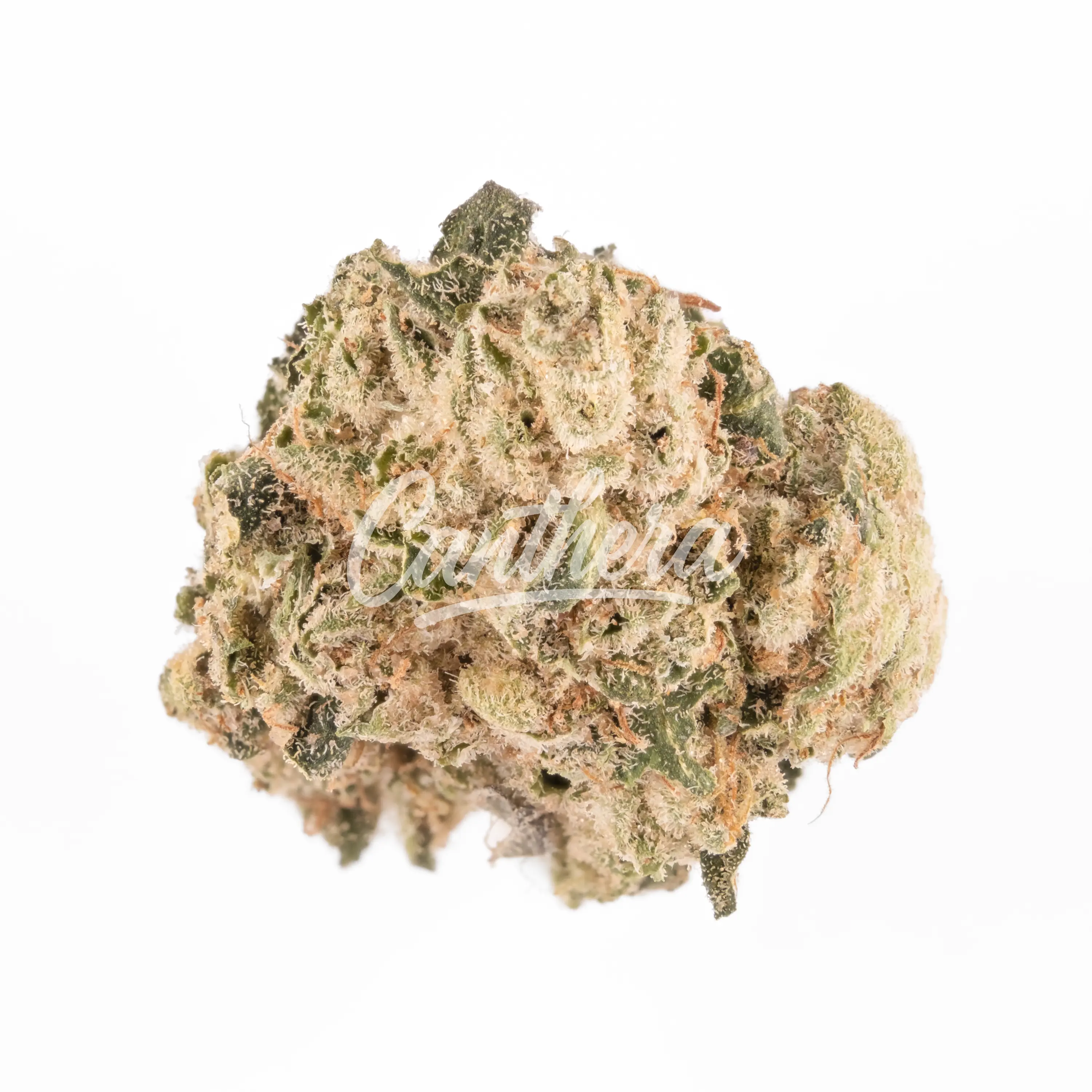 enua 30/1 STP CA - Strawberry Pavé enua 30/1 STP CA - Strawberry Pavé