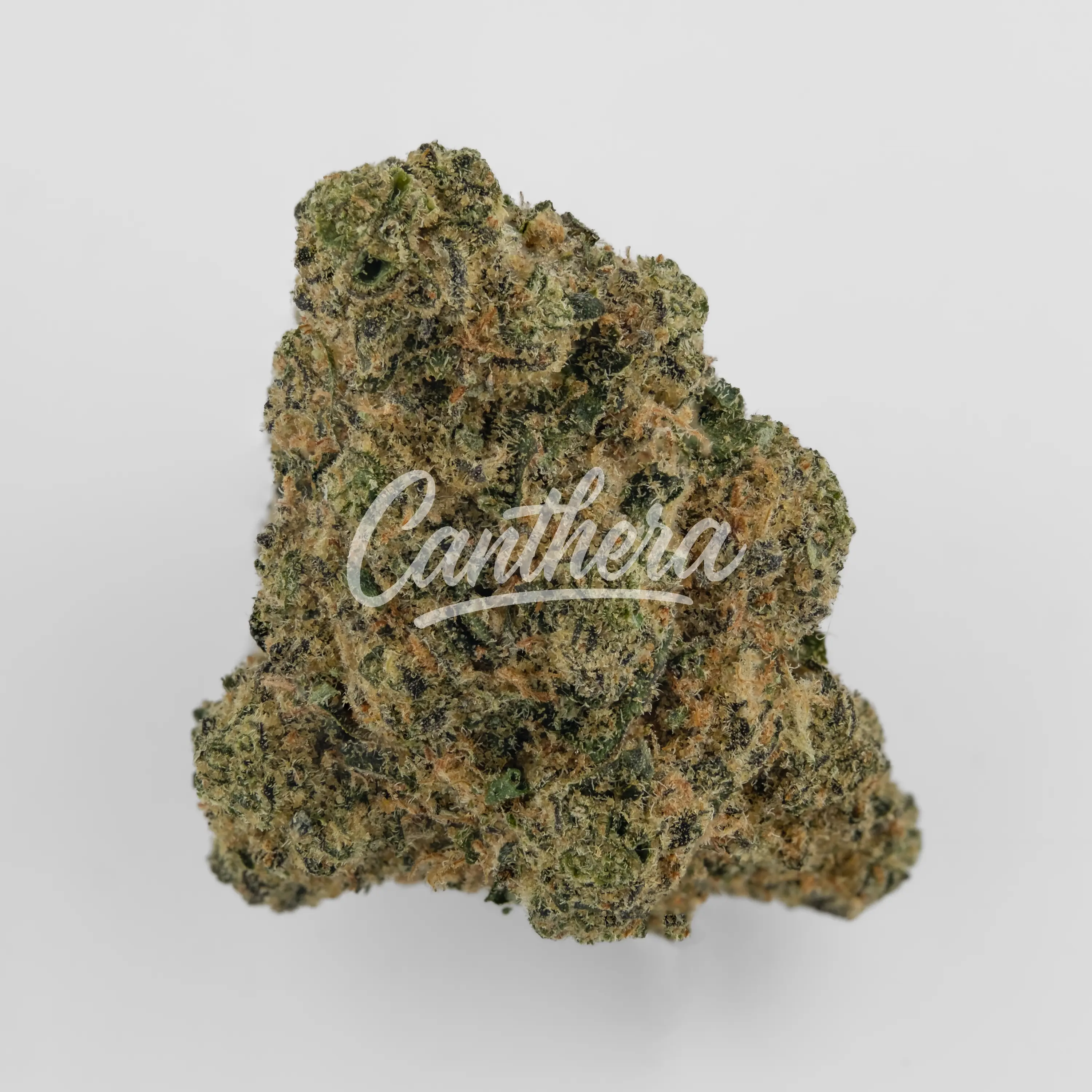 Pedanios 27/1 FRG-CA - Farm Gas Nahaufnahme einer medizinischen Cannabisblüte