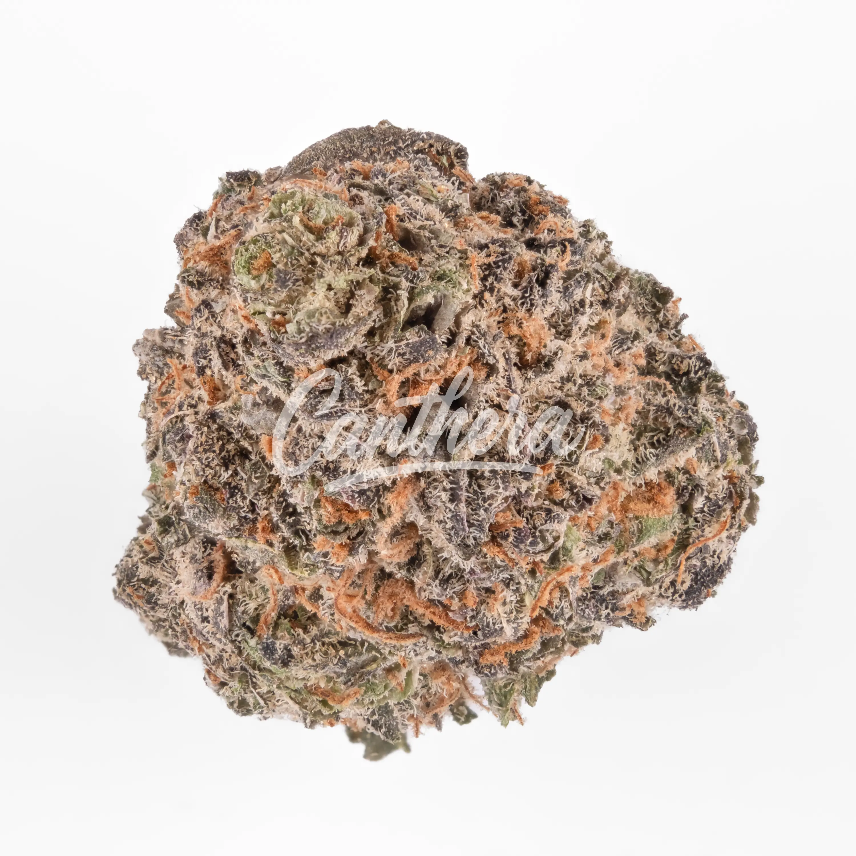 Cannamedical Sativa Vita - Lavender Clouds Cannamedical Sativa Vita - Lavender Clouds