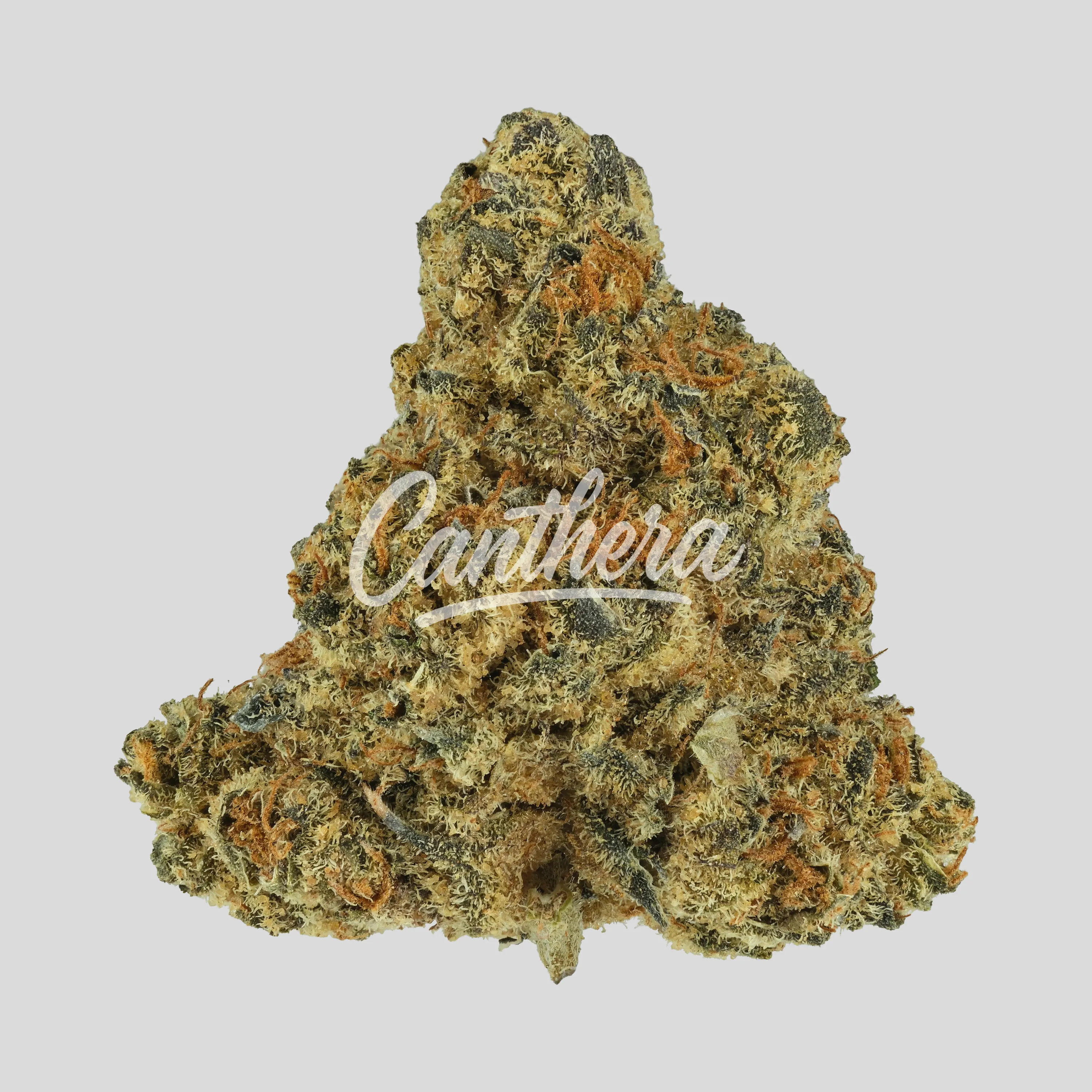 Demecan Craft D-Jungle 28:01 - Purple Punch x Jungle Cake Demecan Craft D-Jungle 28:01 - Purple Punch x Jungle Cake