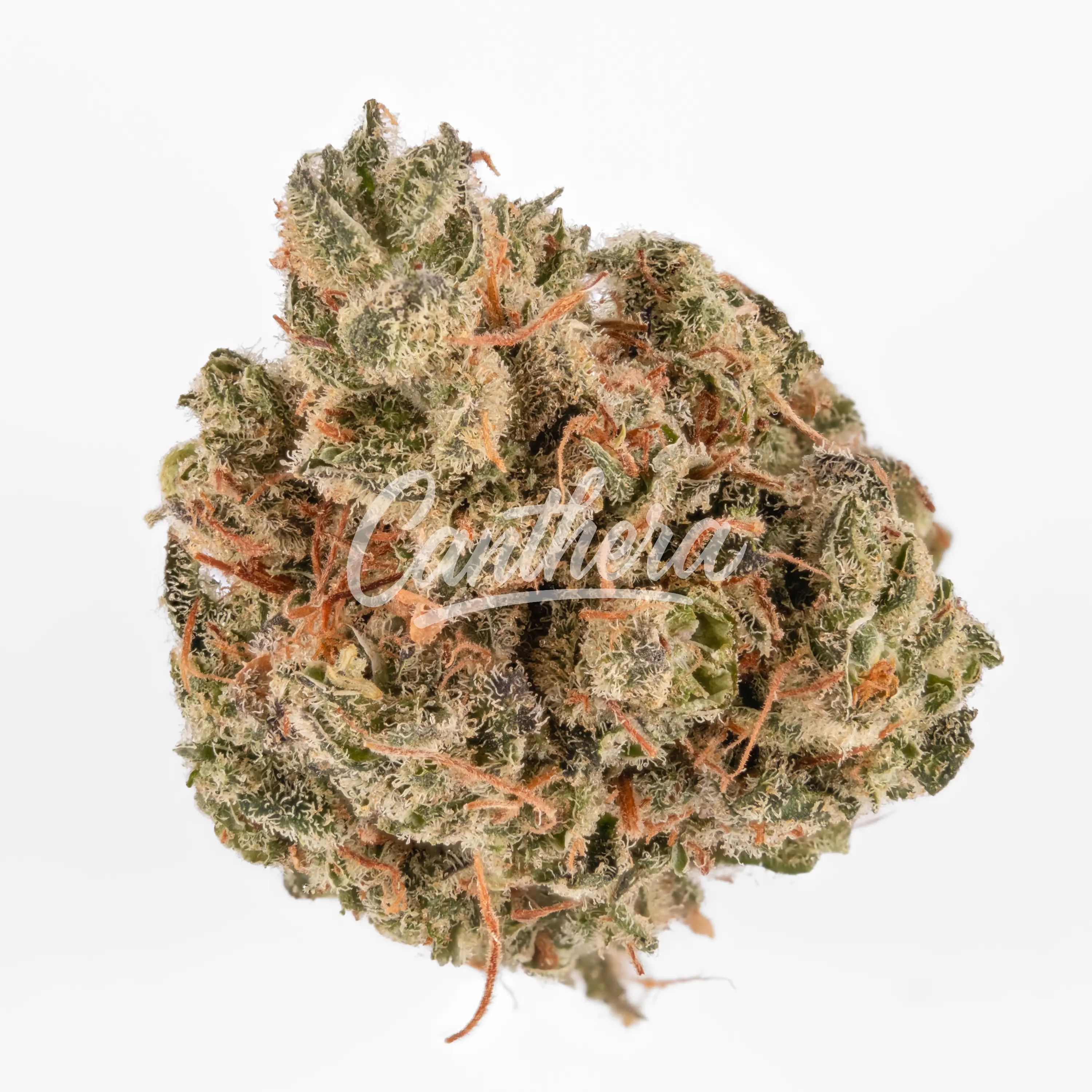 420 Balanced Basic PT SLG - Super Lemon G