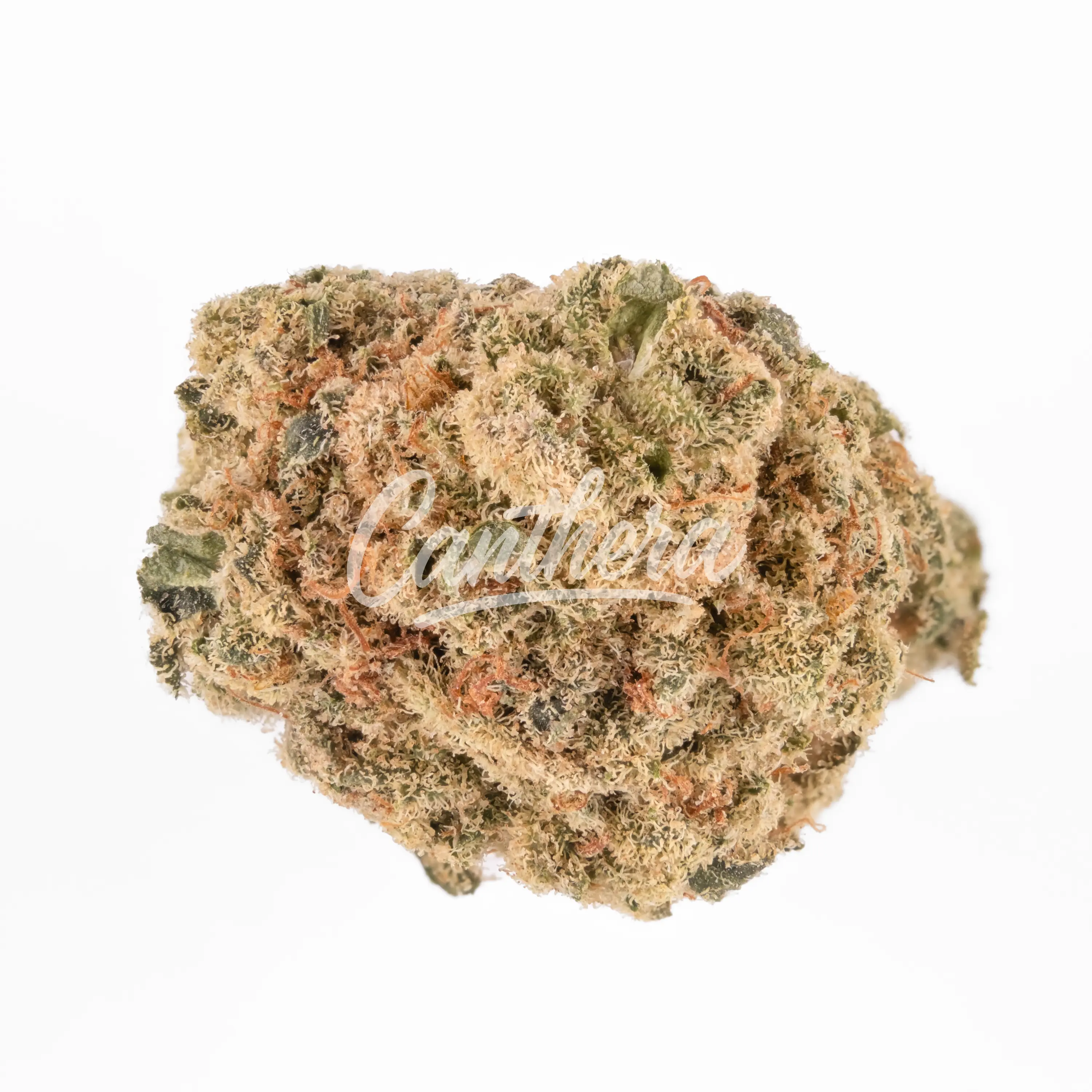 Cannamedical Indica Forte BC - Tangerine Boost