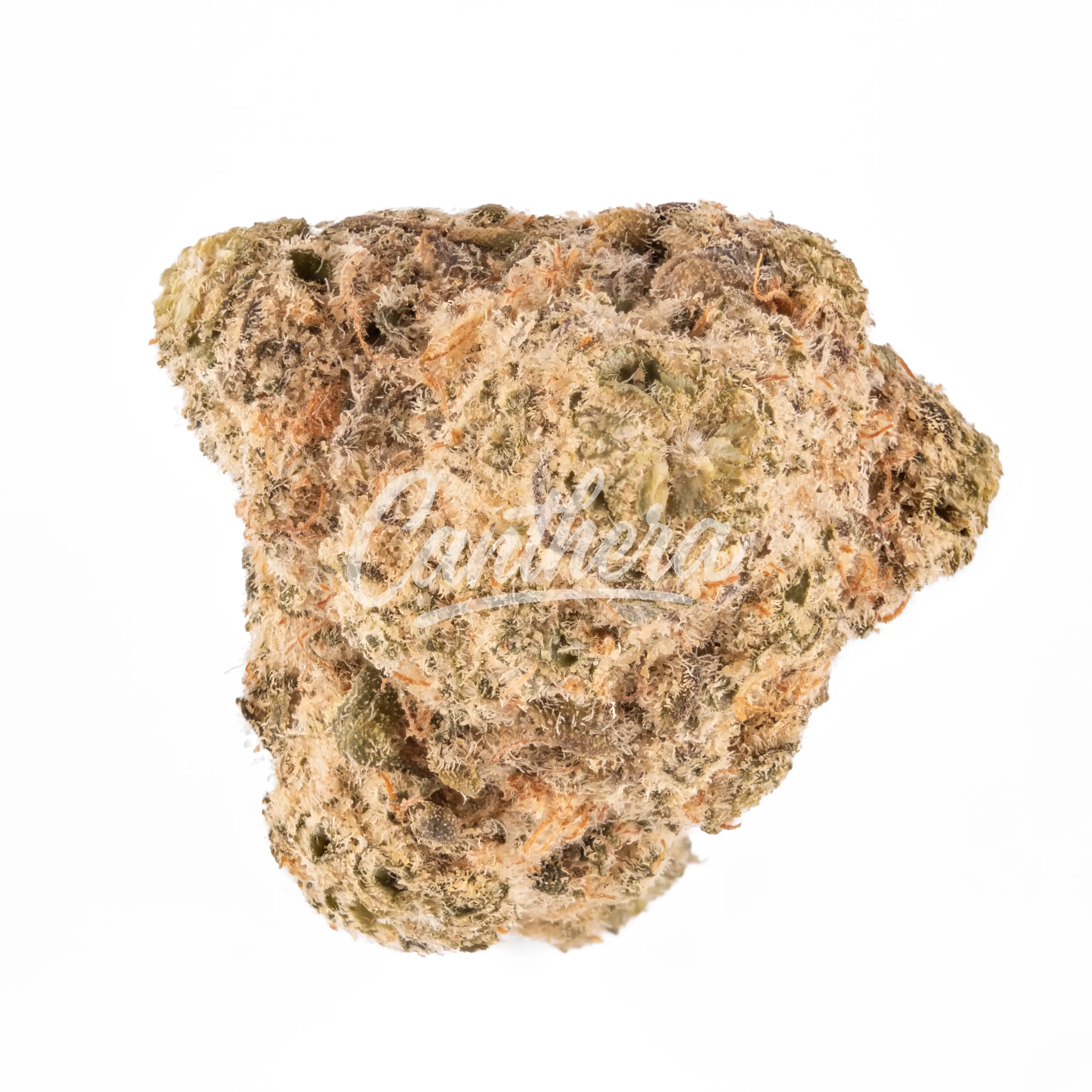 Avaay 29/1 SCP - Sour Cherry Punch