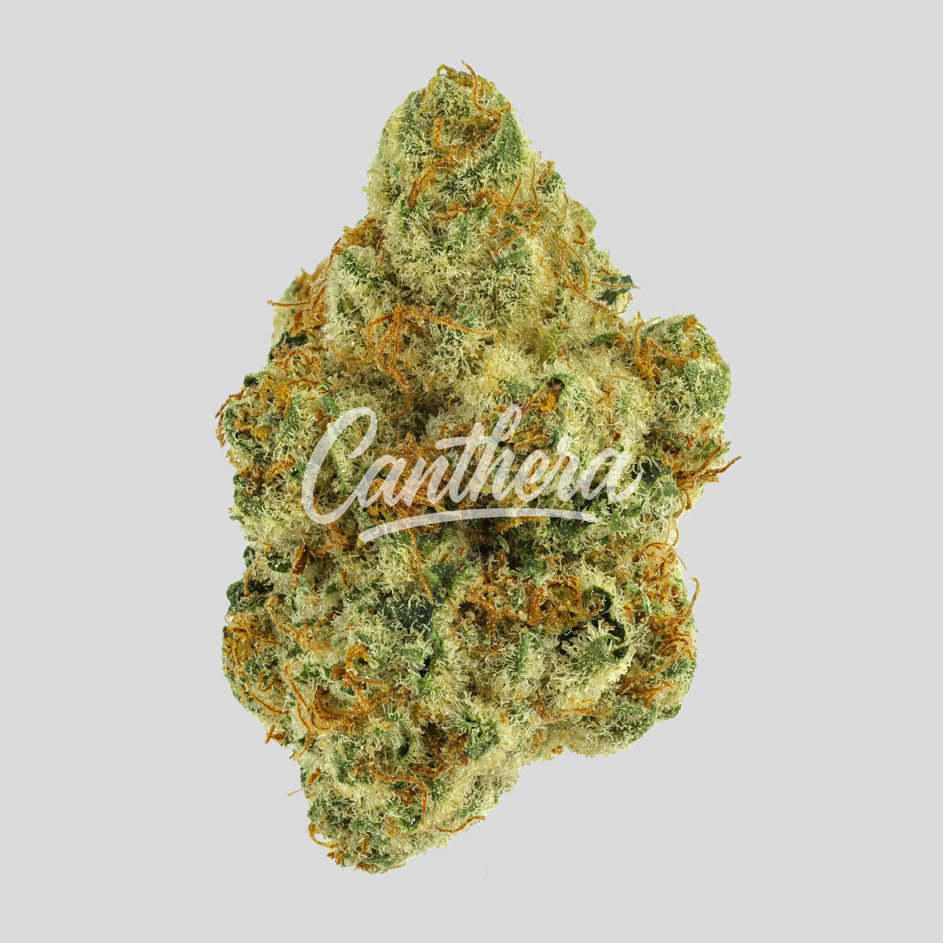 Remexian 20/1 MHI MAD - Magic Dream Remexian 20/1 MHI MAD - Magic Dream