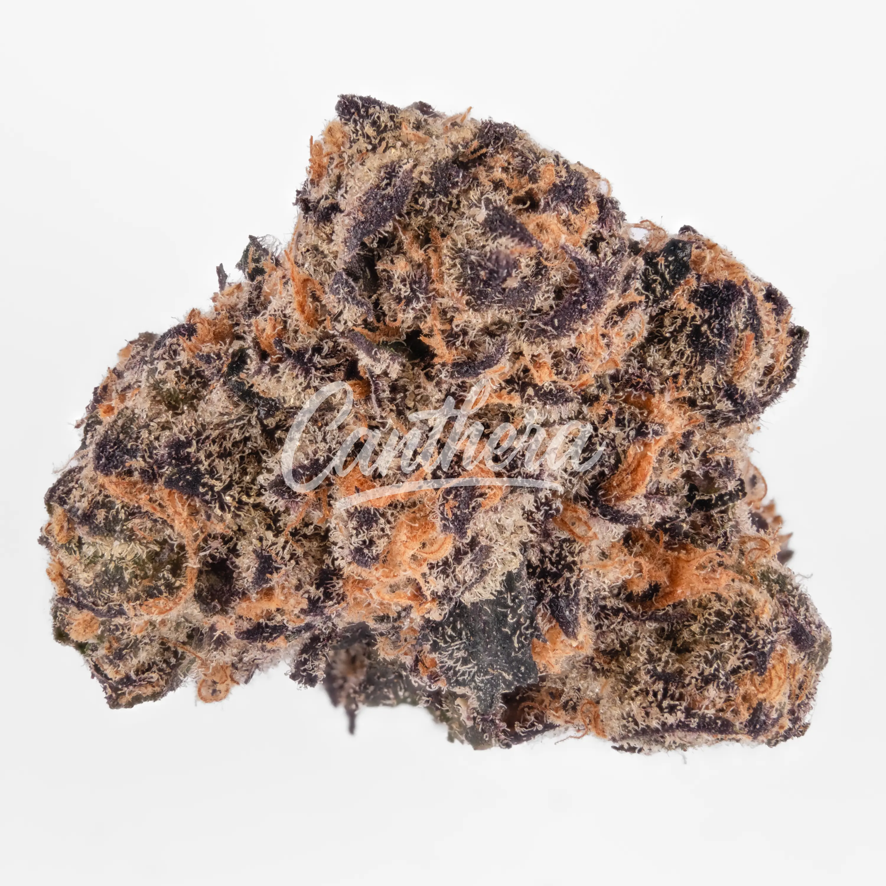 420 Compound 22/1 CA MWZ - Mellowz 420 Compound 22/1 CA MWZ - Mellowz