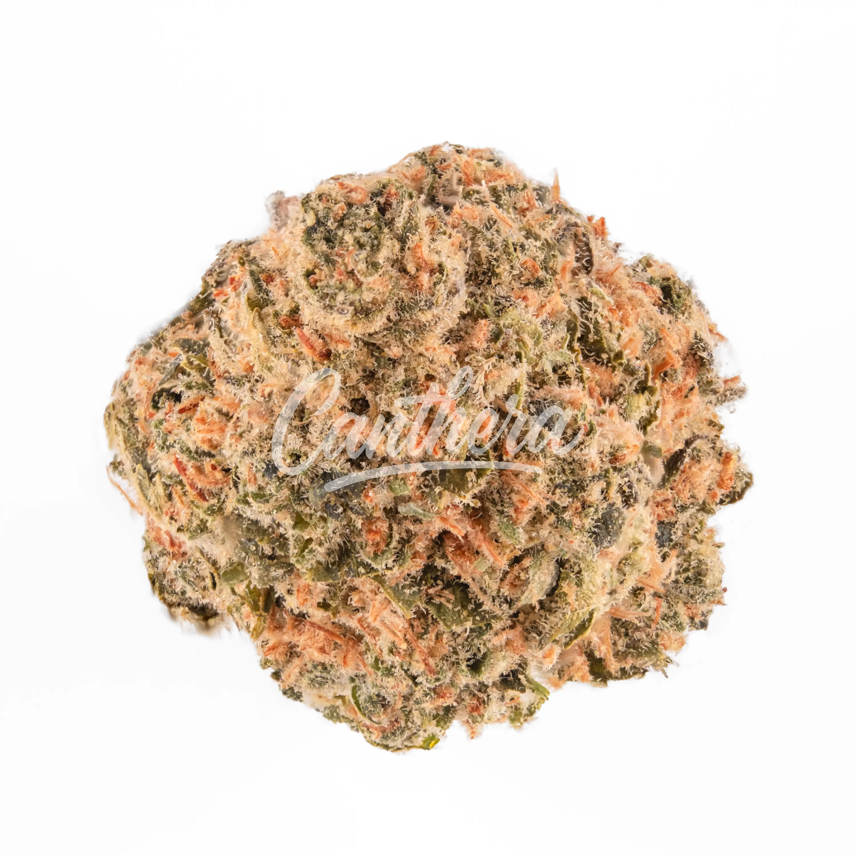 enua 22/1 EG CA Electric Grapefruit