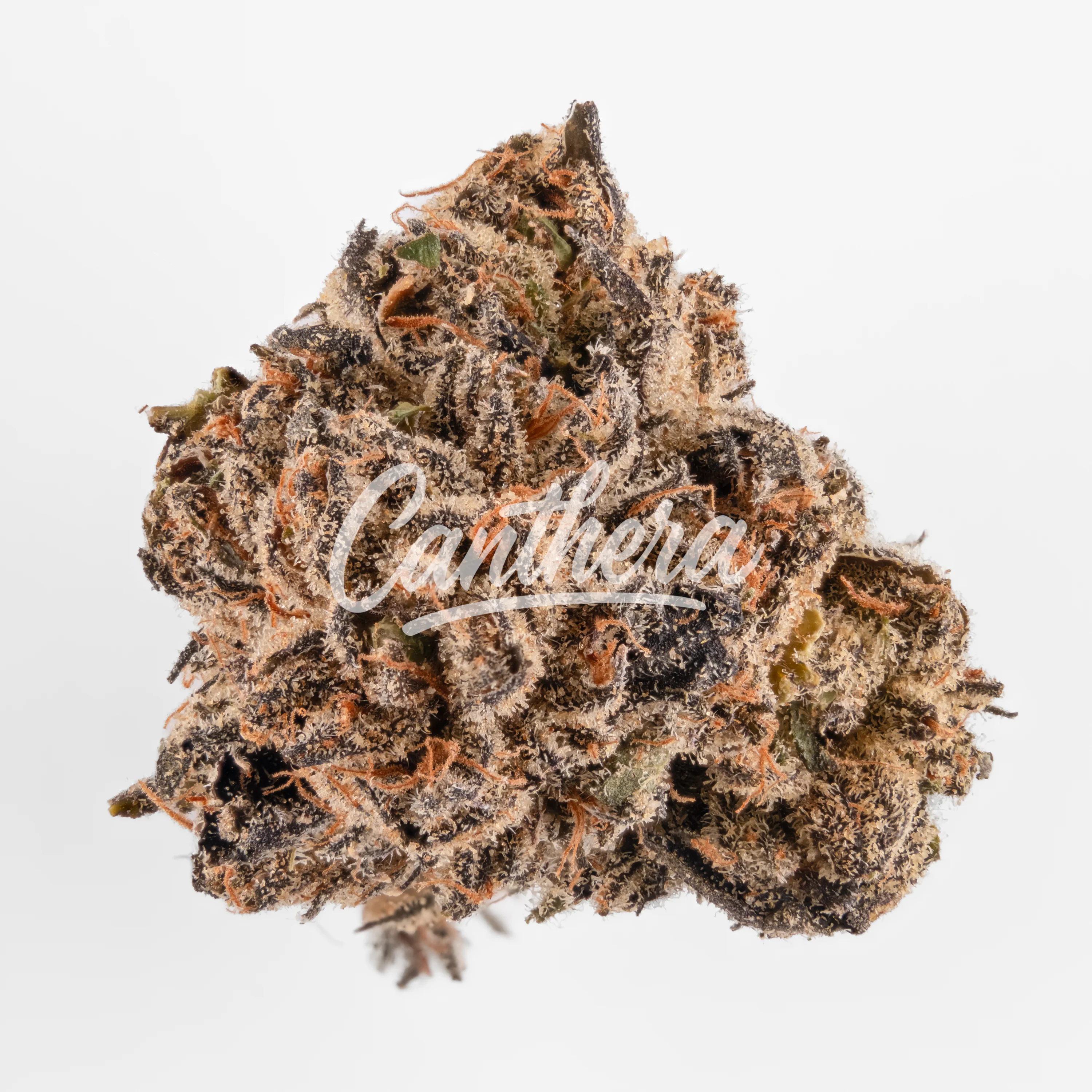 TYSON 2.0 22/1 Frozen Fist TYSON 2.0 22/1 Frozen Fist