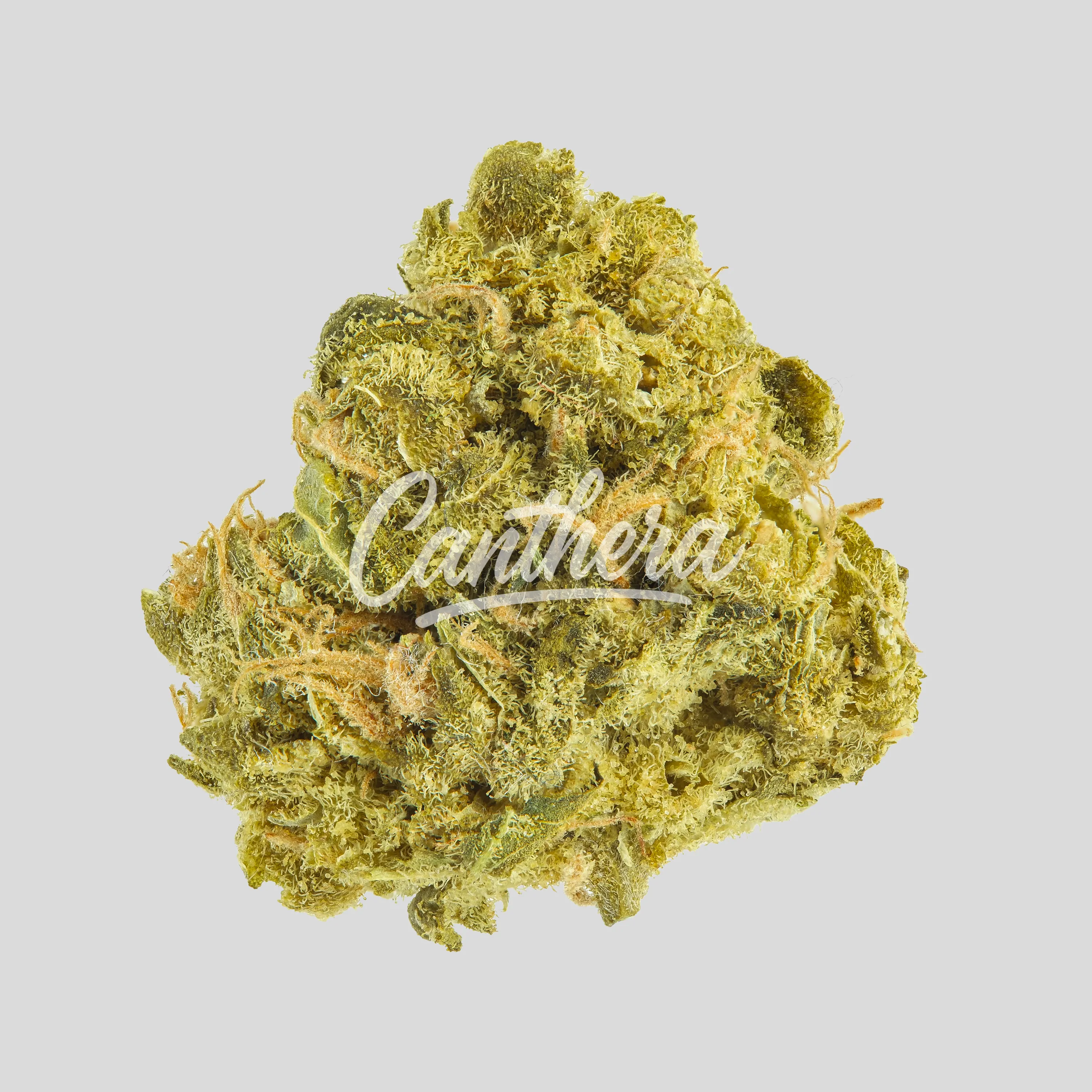 Enua 22/1 USR CA - Ultra Sour