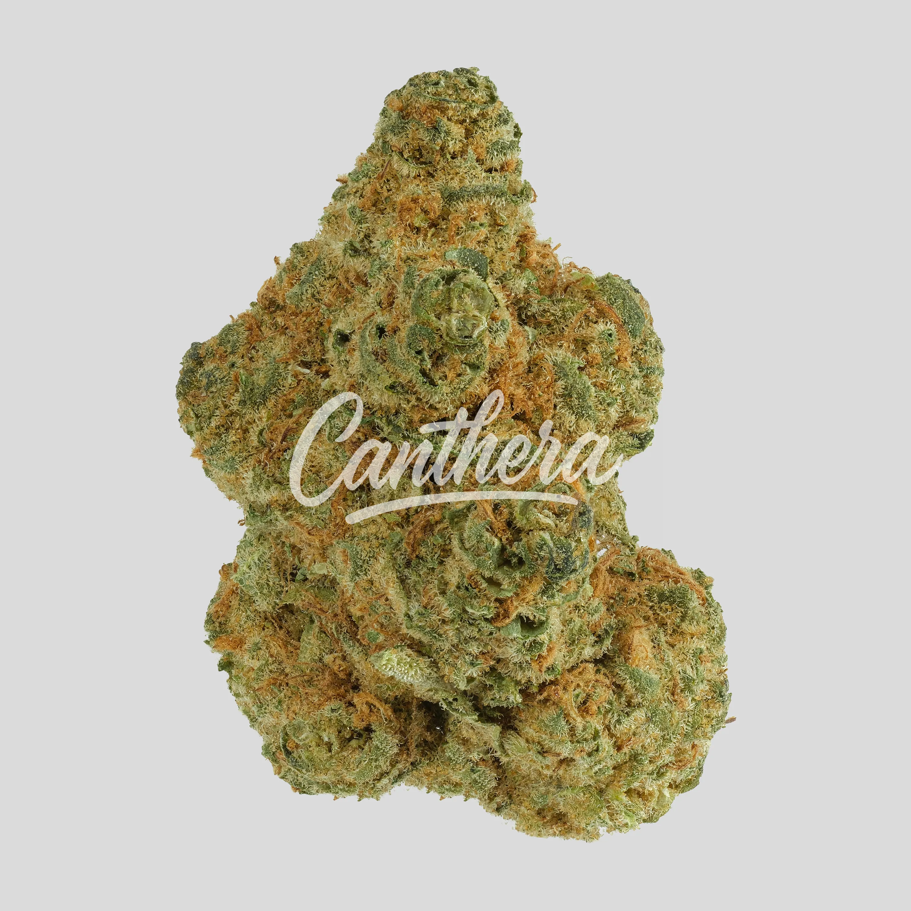 Cannamedical Indica Forte SM Sunset Serenity - Rainmaker