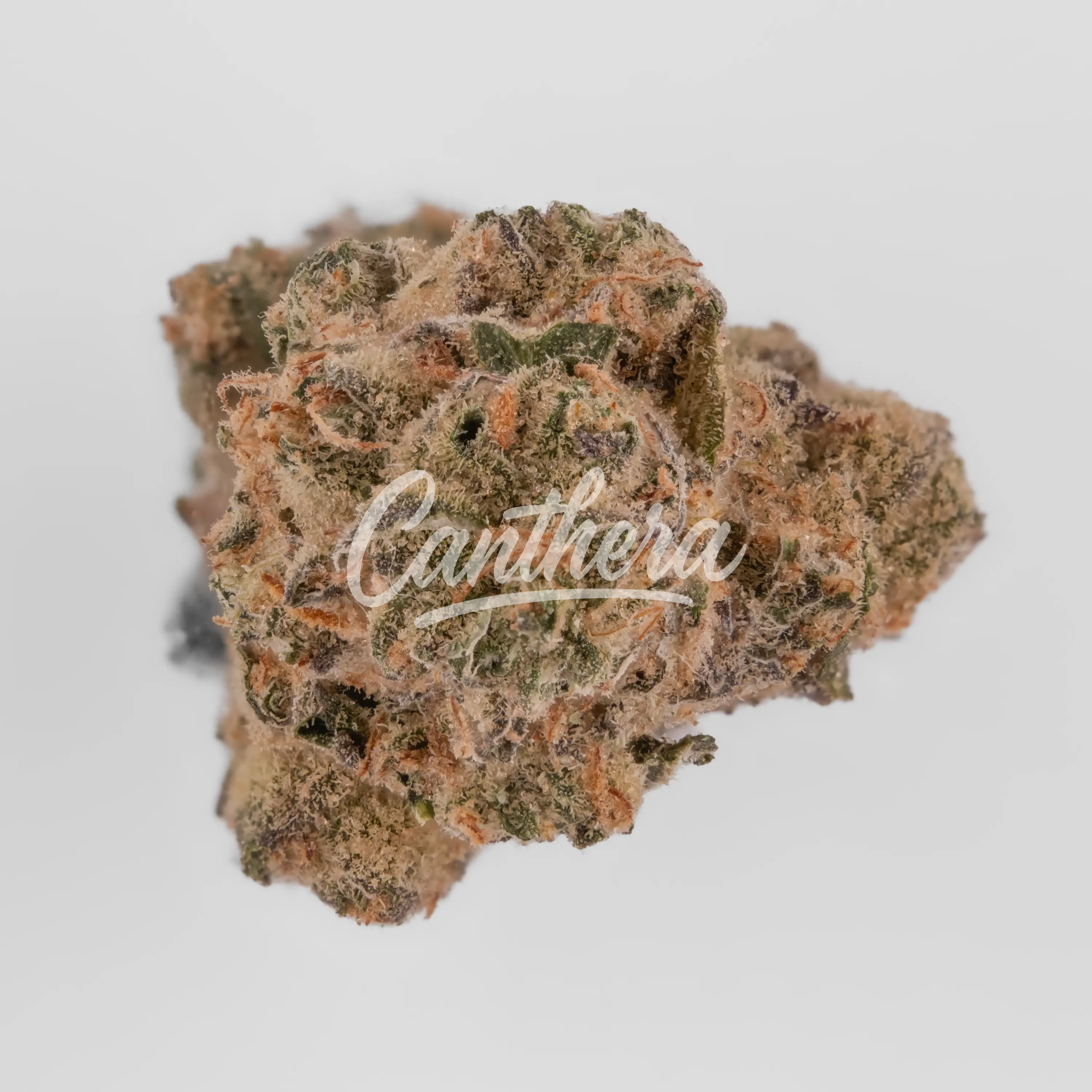 Remexian 30/1 CHE - Chem Cookies Nahaufnahme einer medizinischen Cannabisblüte