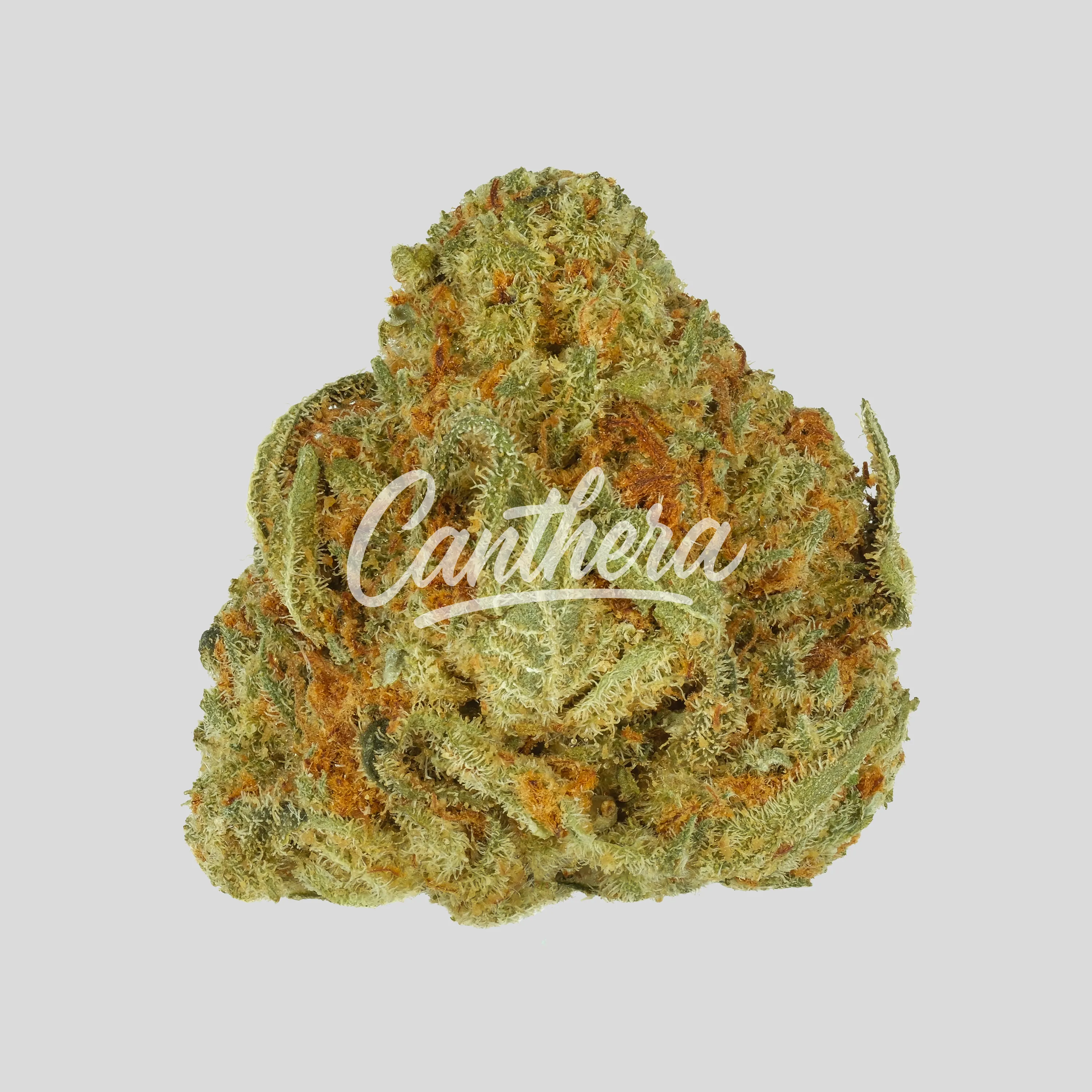 Huala 25/1 UK WTR - Waffle Truffle