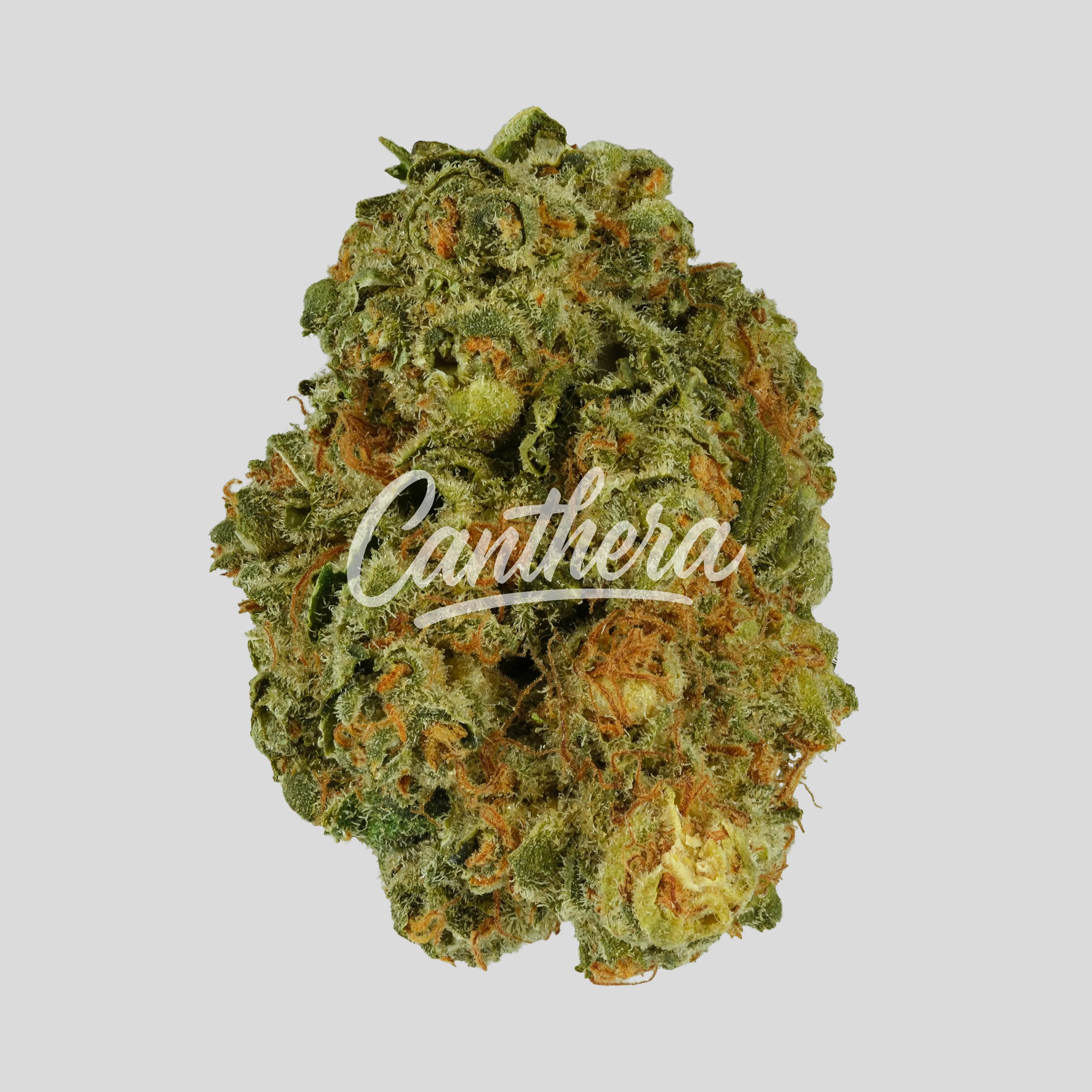 Huala 22/1 CA C47 Huala 22/1 CA C47