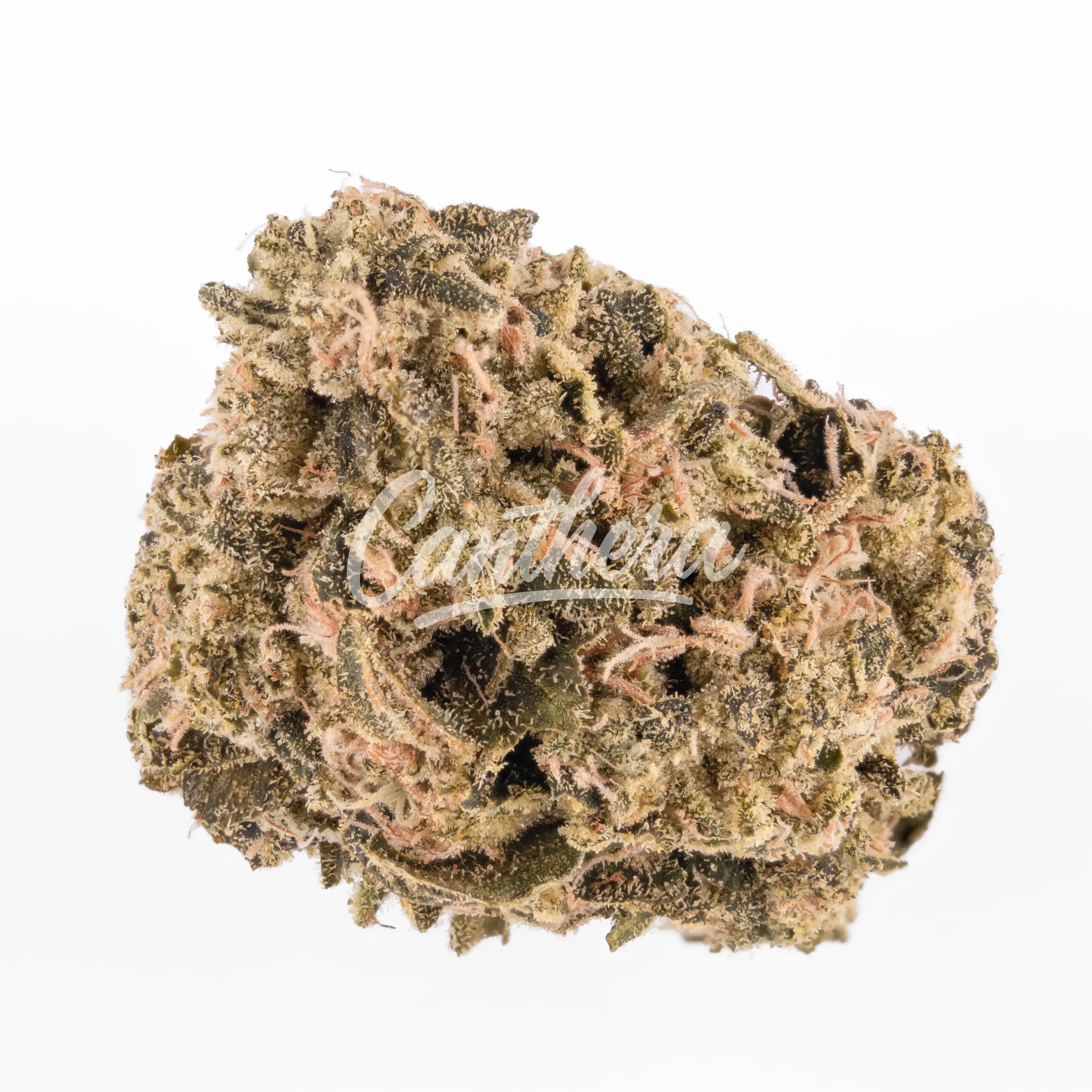 enua 25/1 HWB CA - Head with Bang