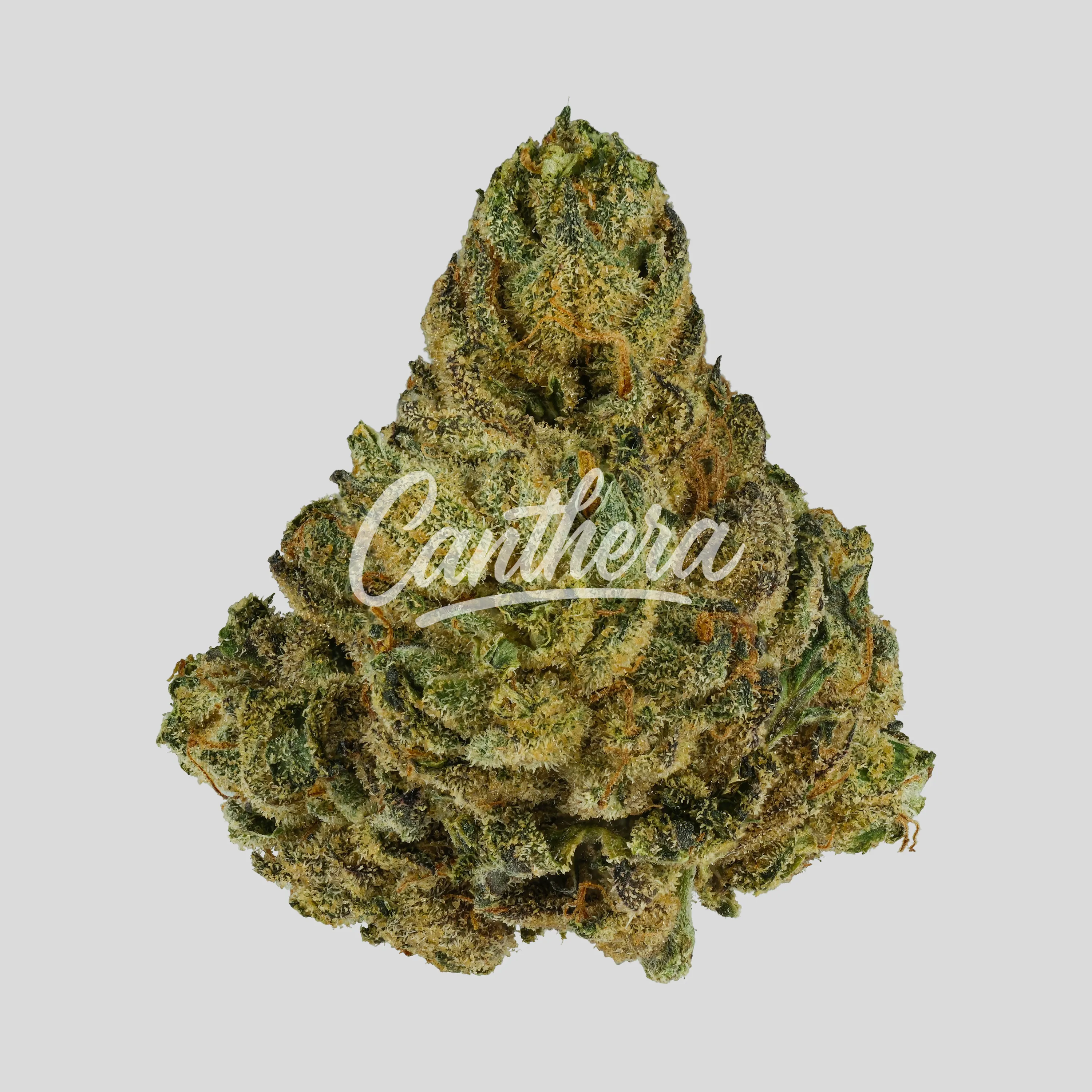 Demecan Core ICC 20:01 - Ice Cream Cake