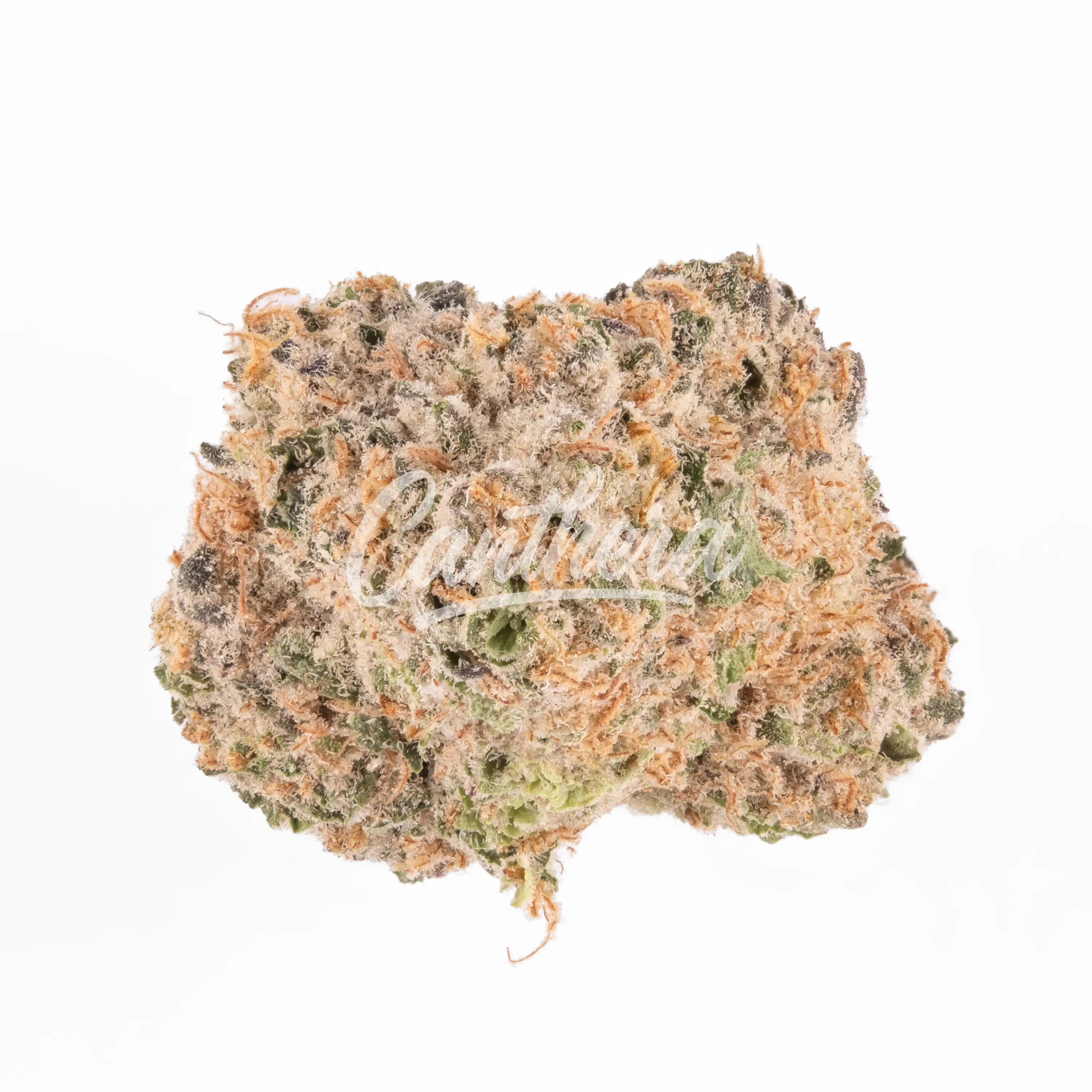 Demecan RF Epic Drop - Gelato X OG Kush Demecan RF Epic Drop - Gelato X OG Kush