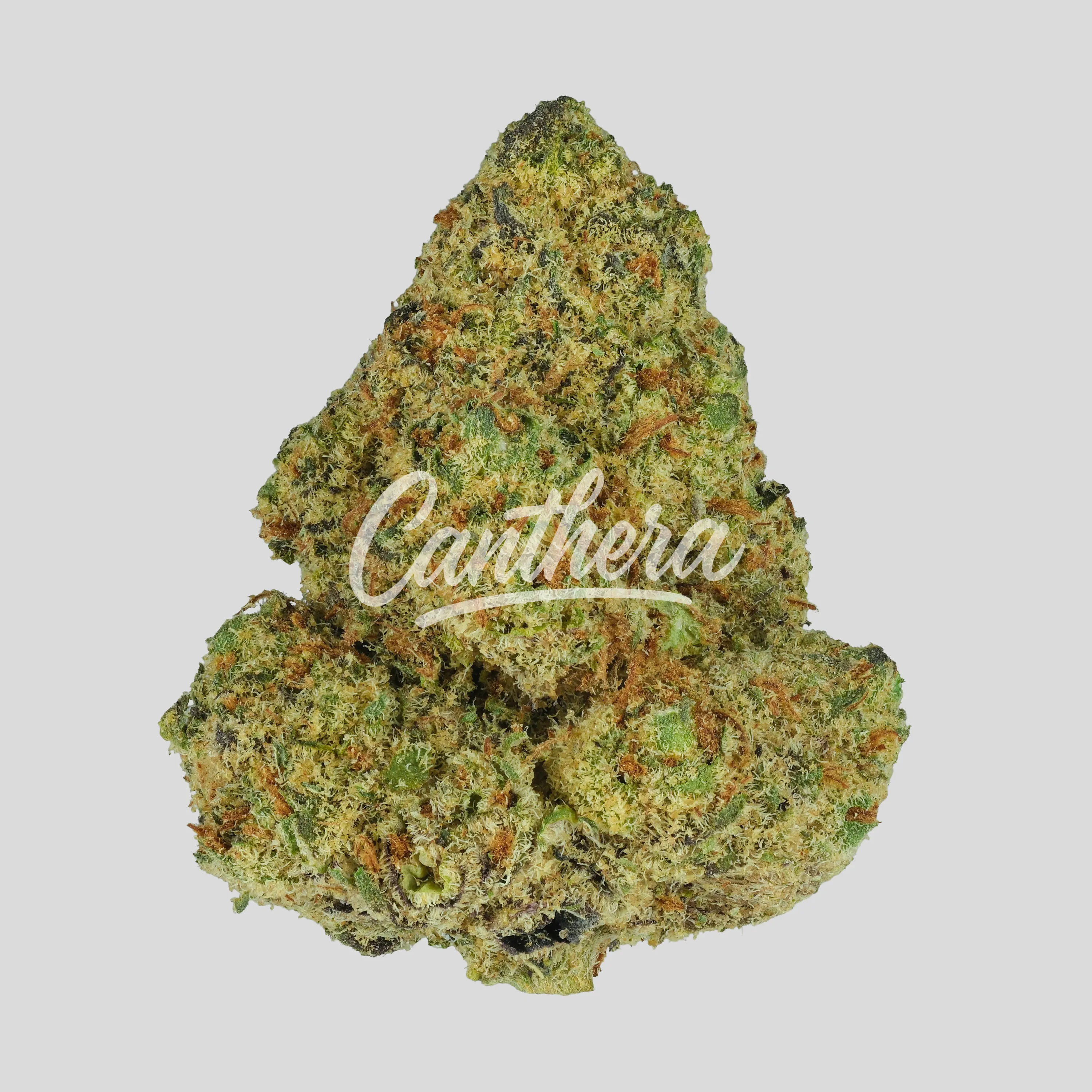 18/1 NICE Cannabisblüten MM - Mango Mints