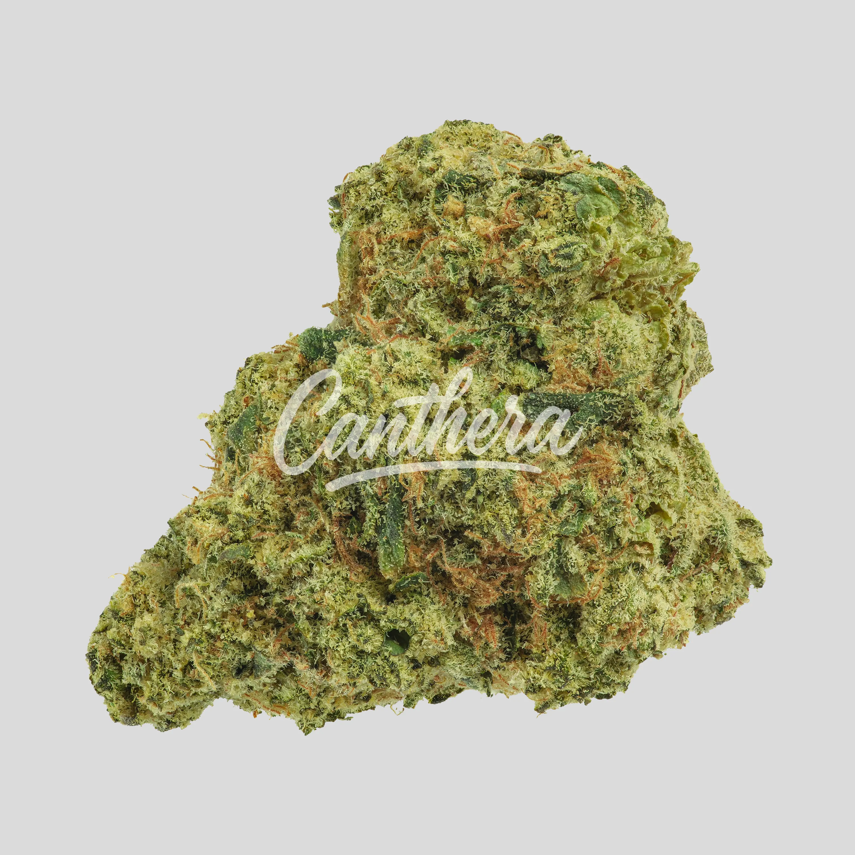 Avaay Signature 27/1 ARC - Apple Rock Candy Avaay Signature 27/1 ARC - Apple Rock Candy