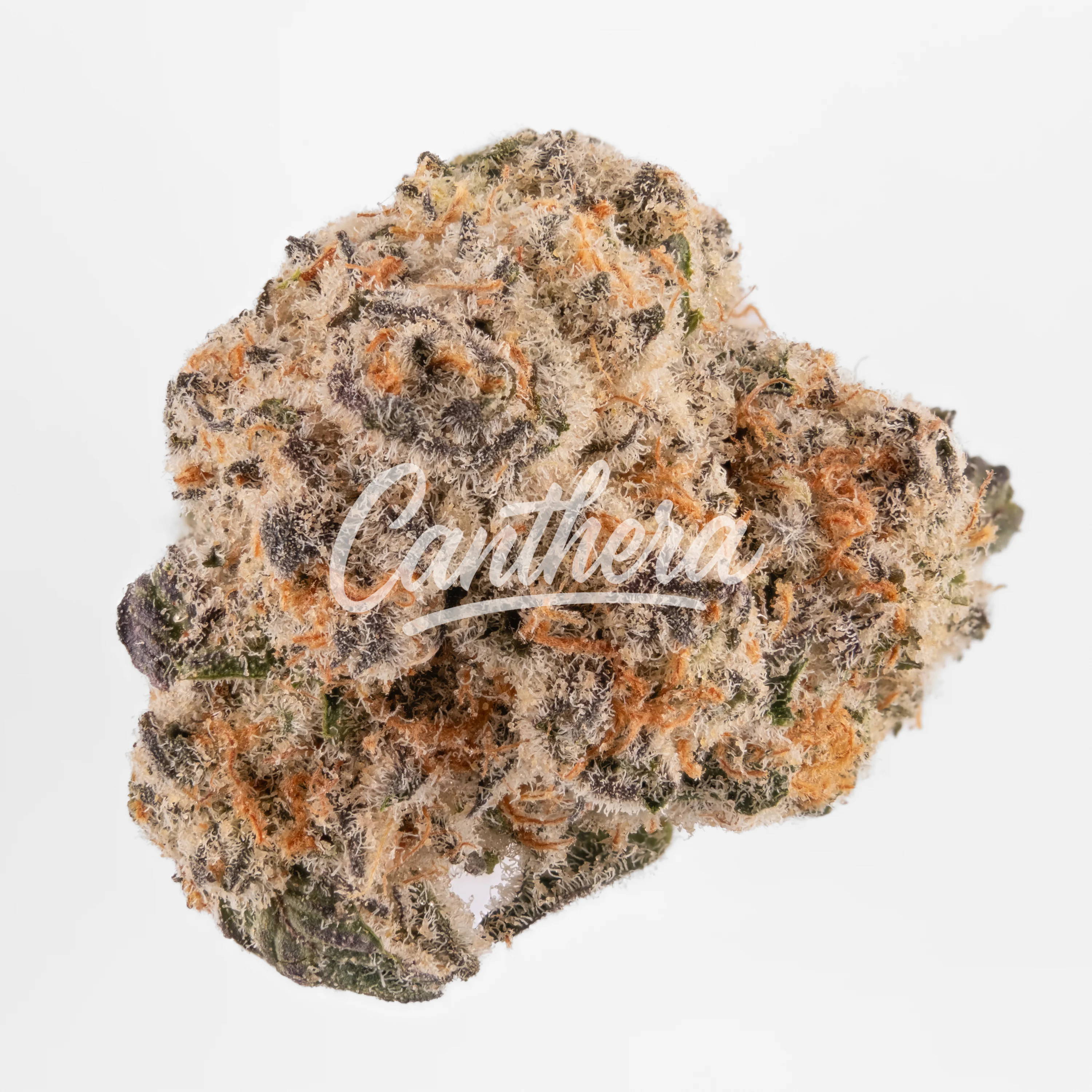 Ceres Cap J 25/1 Cap Junky Ceres Cap J 25/1 Cap Junky