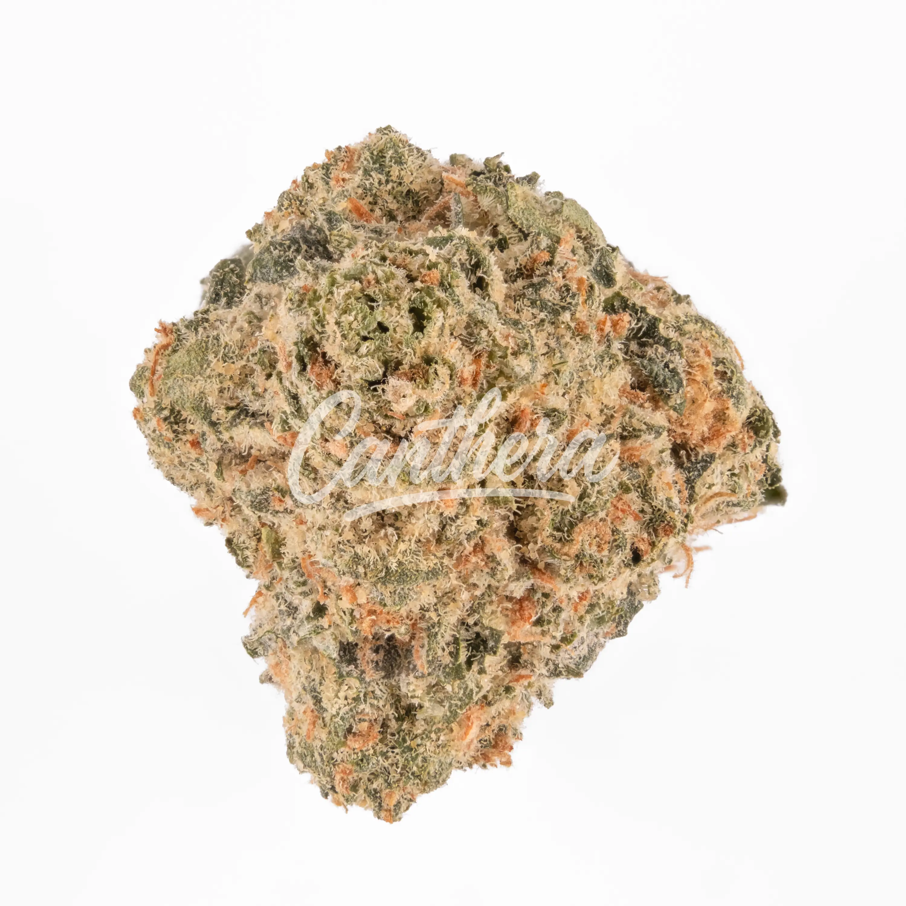 27/1 Amici AS - Atomic Sour Grapefruit