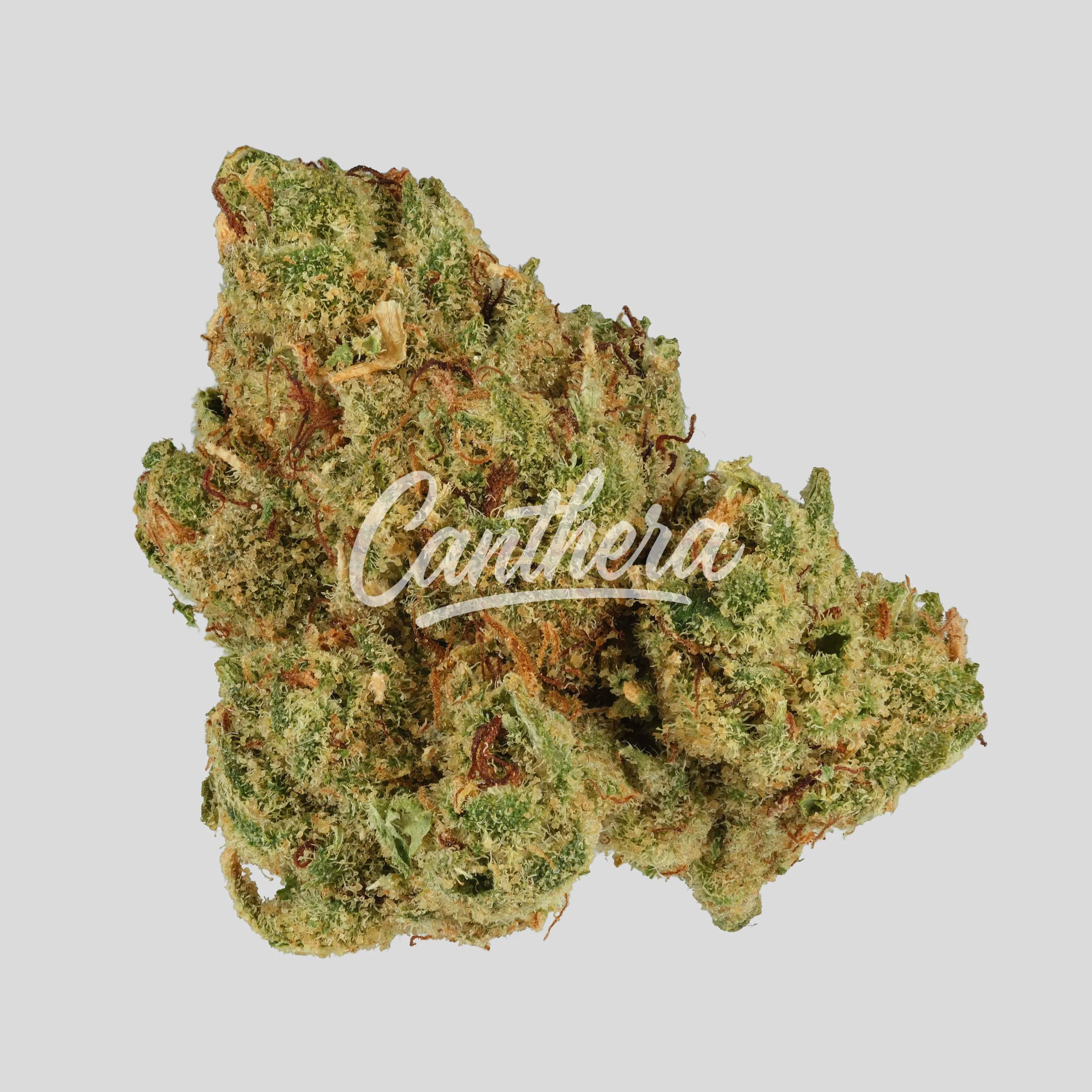 Demecan Craft Luna 31:01 Peechy Keen