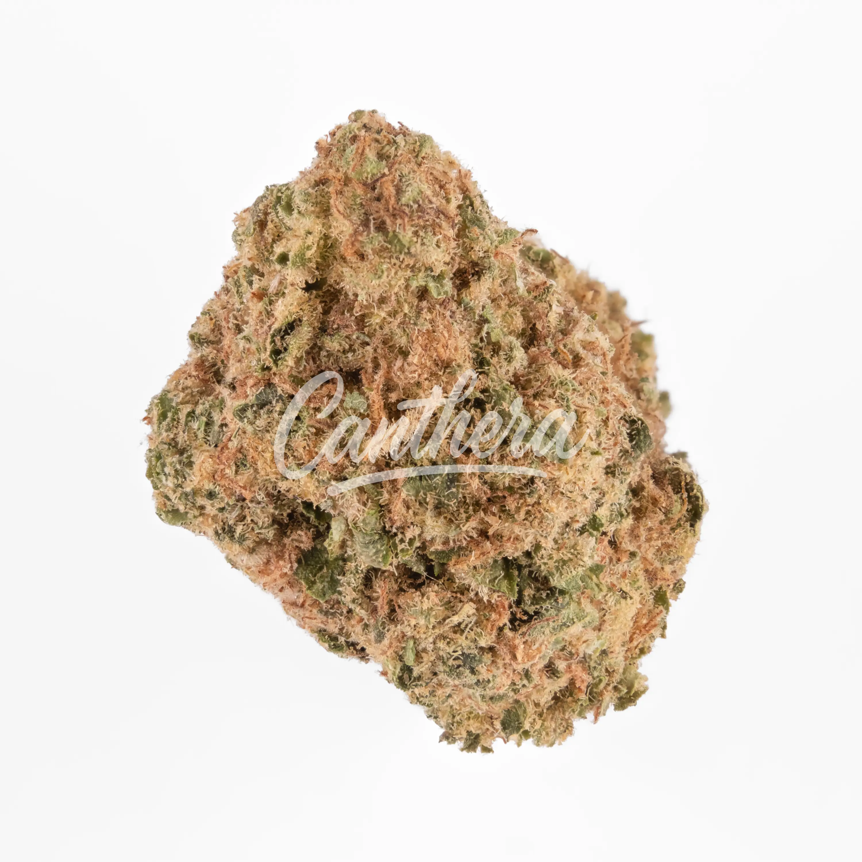 TRUU HS 26:01 - Citron Cookies