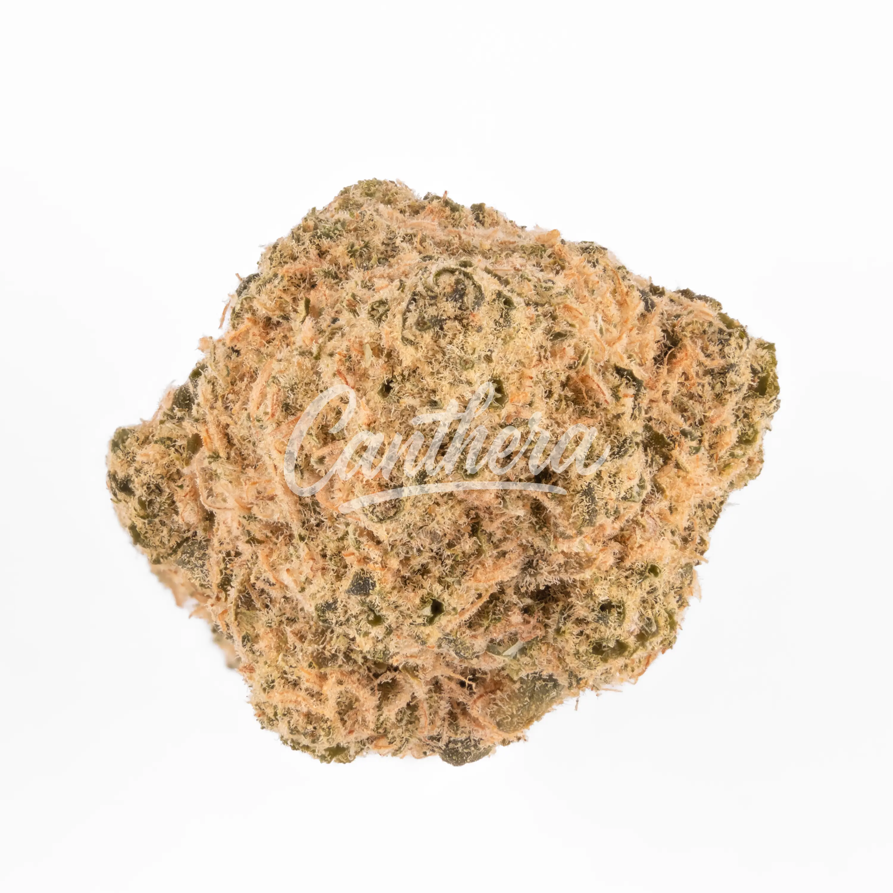 Demecan Core Solar 21/1 - Black Russian