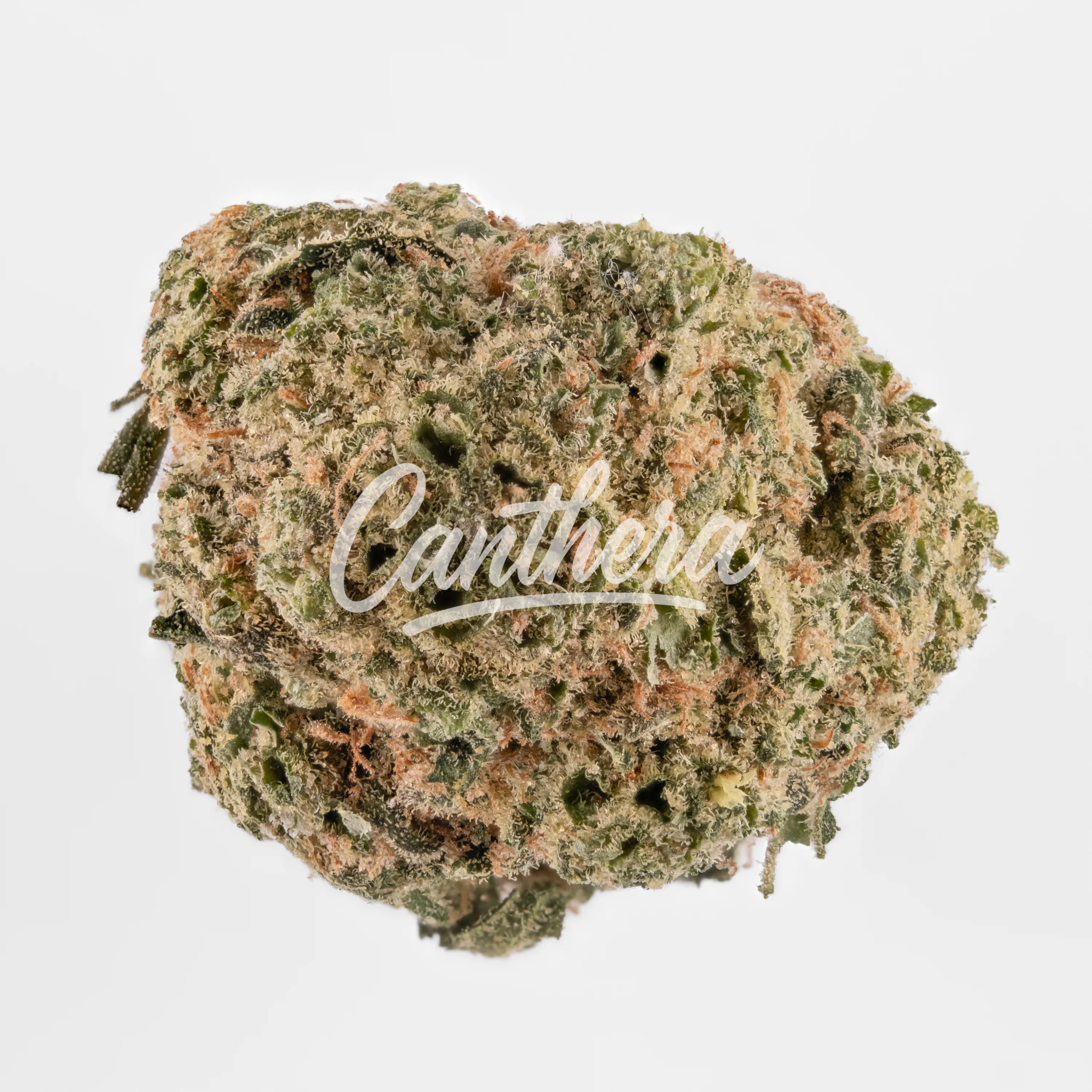 enua 30/1 LHZ CA - Lemonade Haze