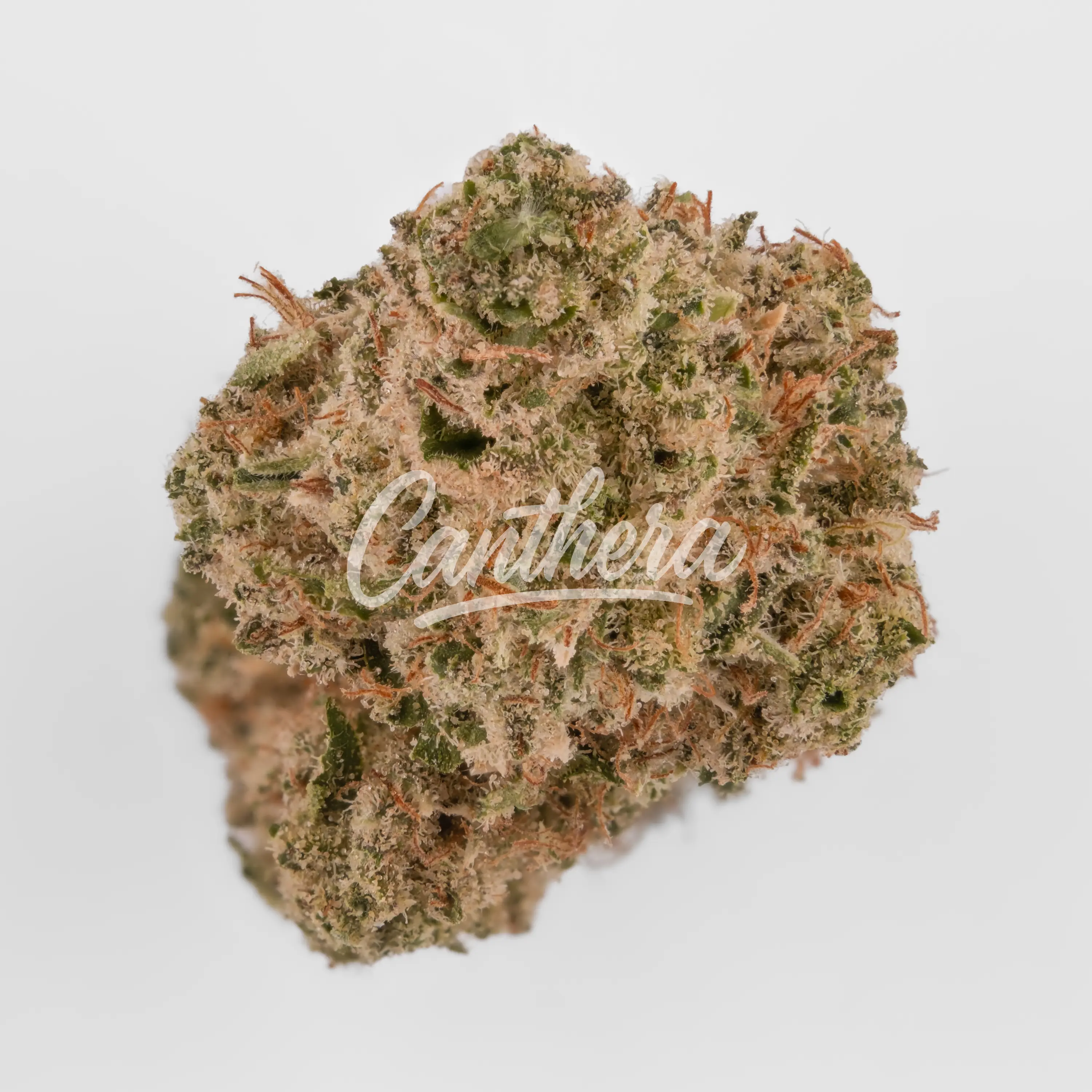 Demecan Craft T4N-G 25:01 Banjo - Tangelo Boost Nahaufnahme einer medizinischen Cannabisblüte