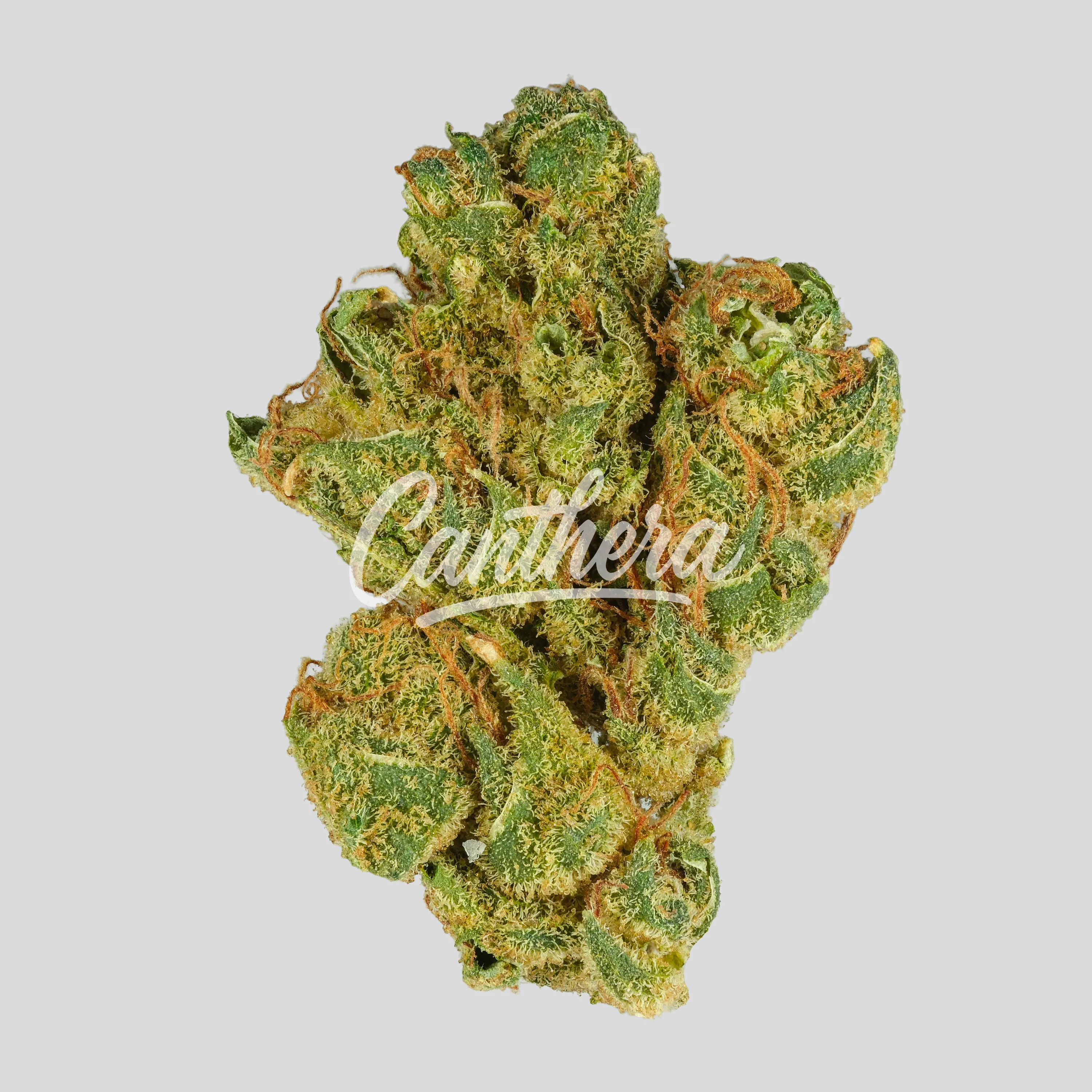 Aleph Air18/1 - Sour Tangie