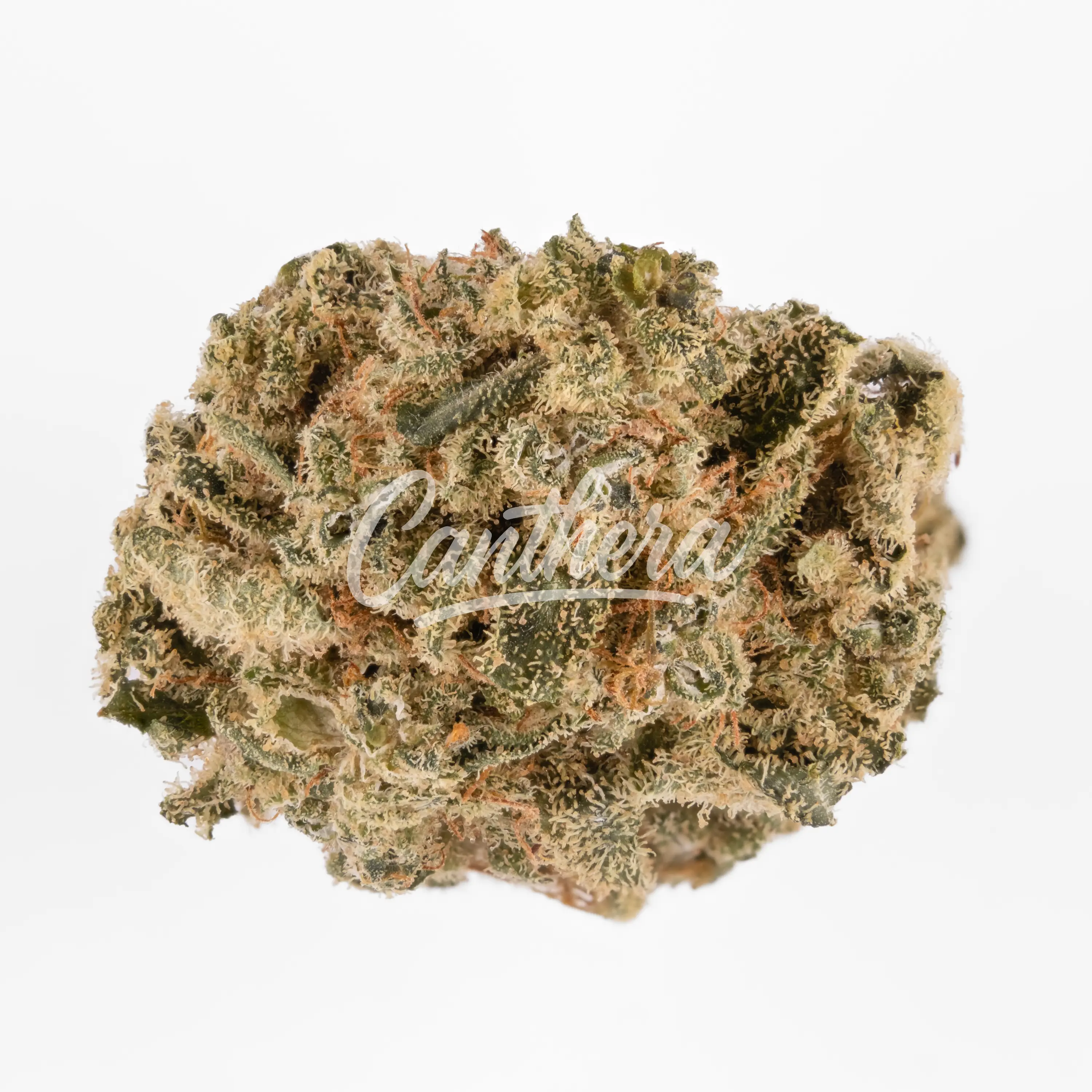 Remexian 21/1 TEN BAN - Banjo Remexian 21/1 TEN BAN - Banjo