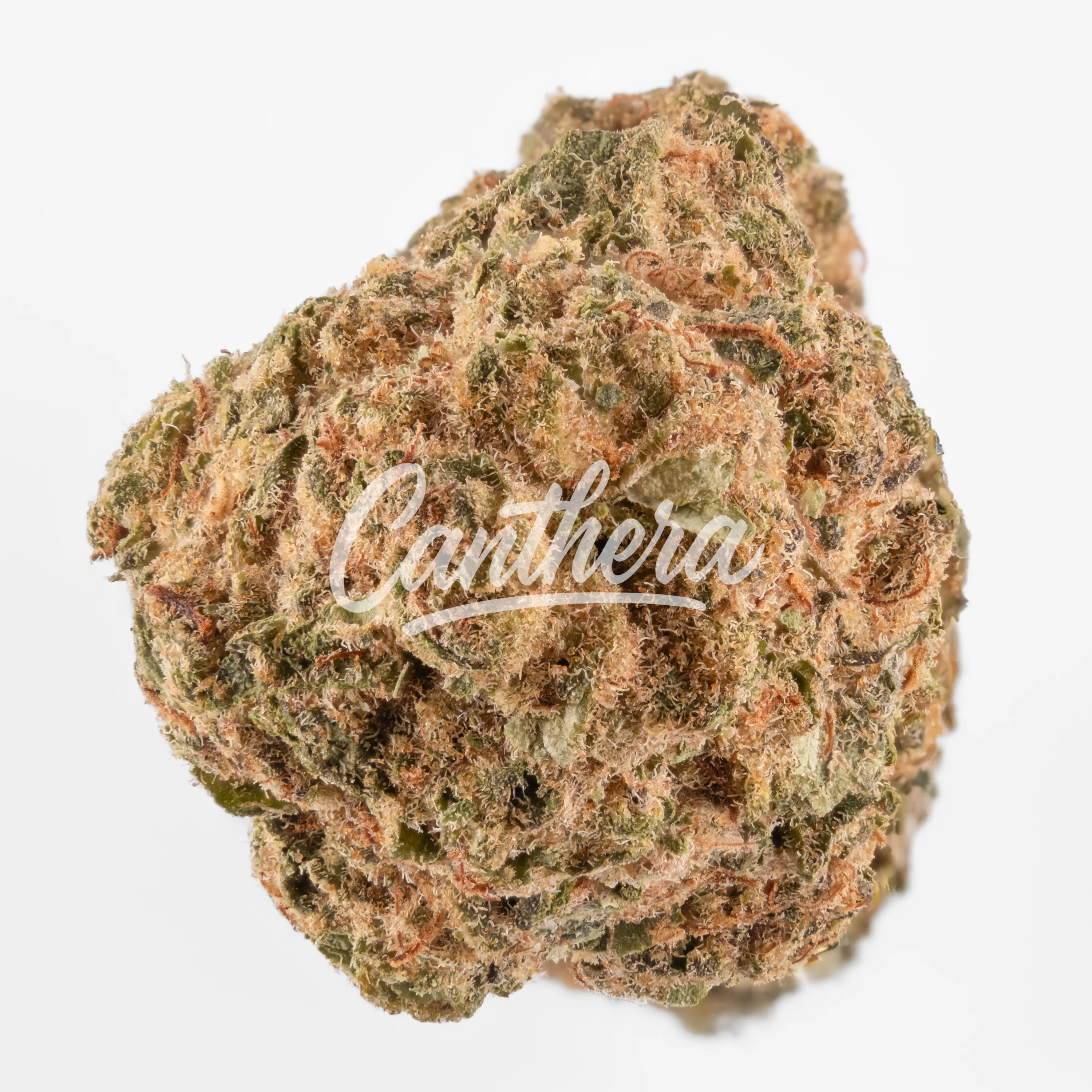 Bava Med 23/1 MAN-CO Mandarin Cookies