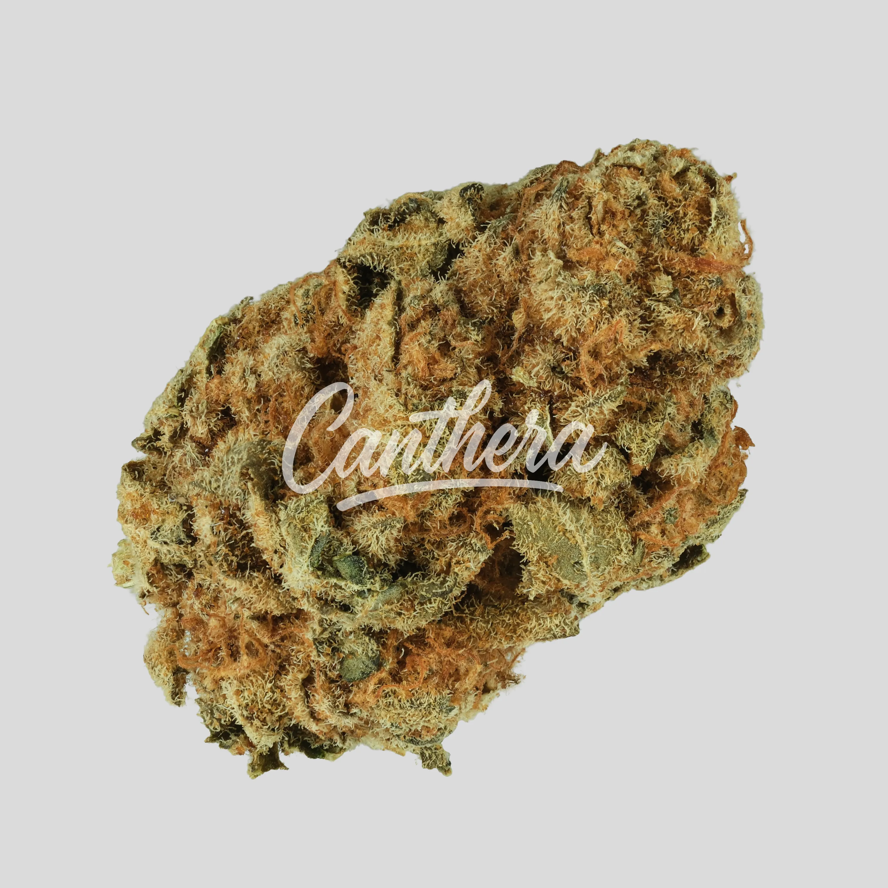 IMC Deep Plum 22/1 Mids IMC Deep Plum 22/1 Mids