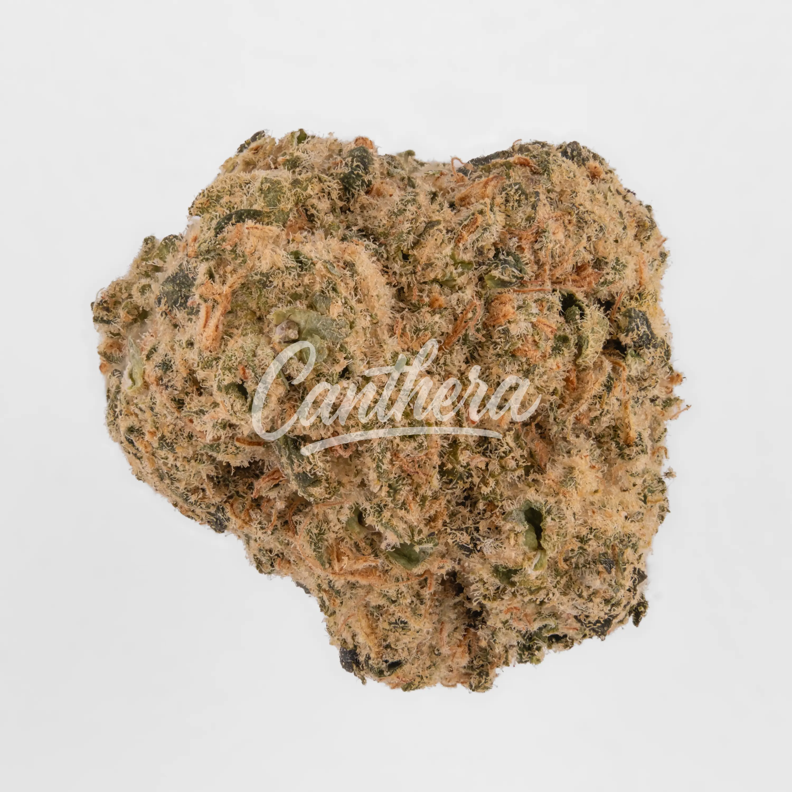 Organic Sweetgrass CB 25/1 - Crunch Berries Nahaufnahme einer medizinischen Cannabisblüte