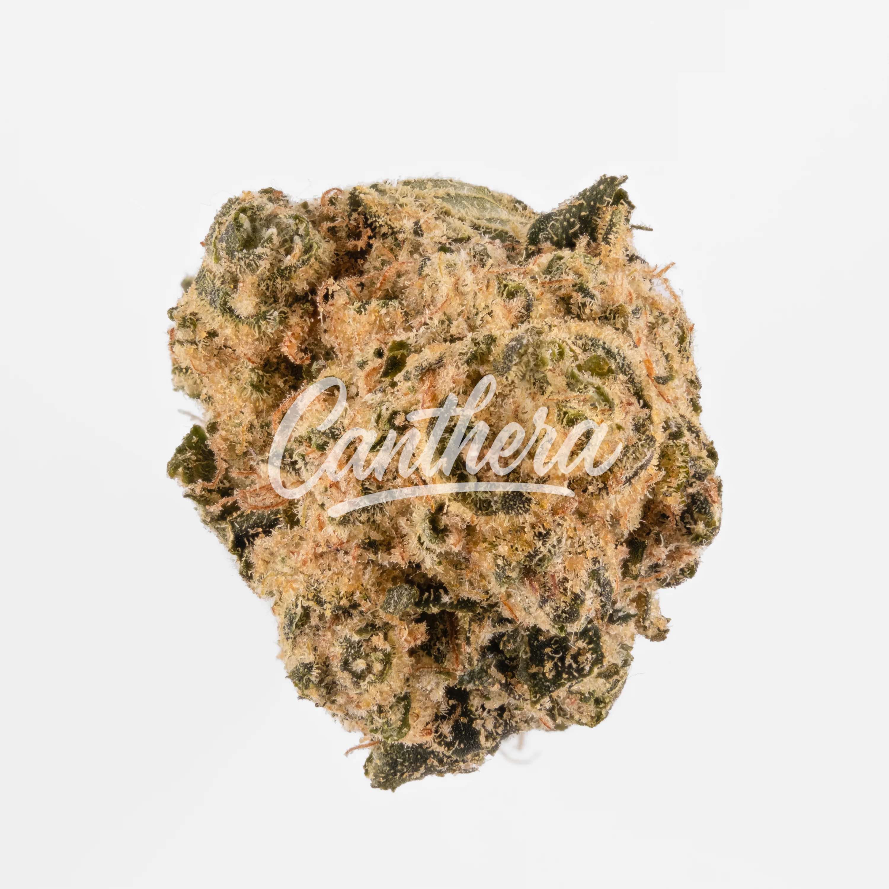 Peace Naturals 31/1 GC - GMO Cookies Peace Naturals 31/1 GC - GMO Cookies