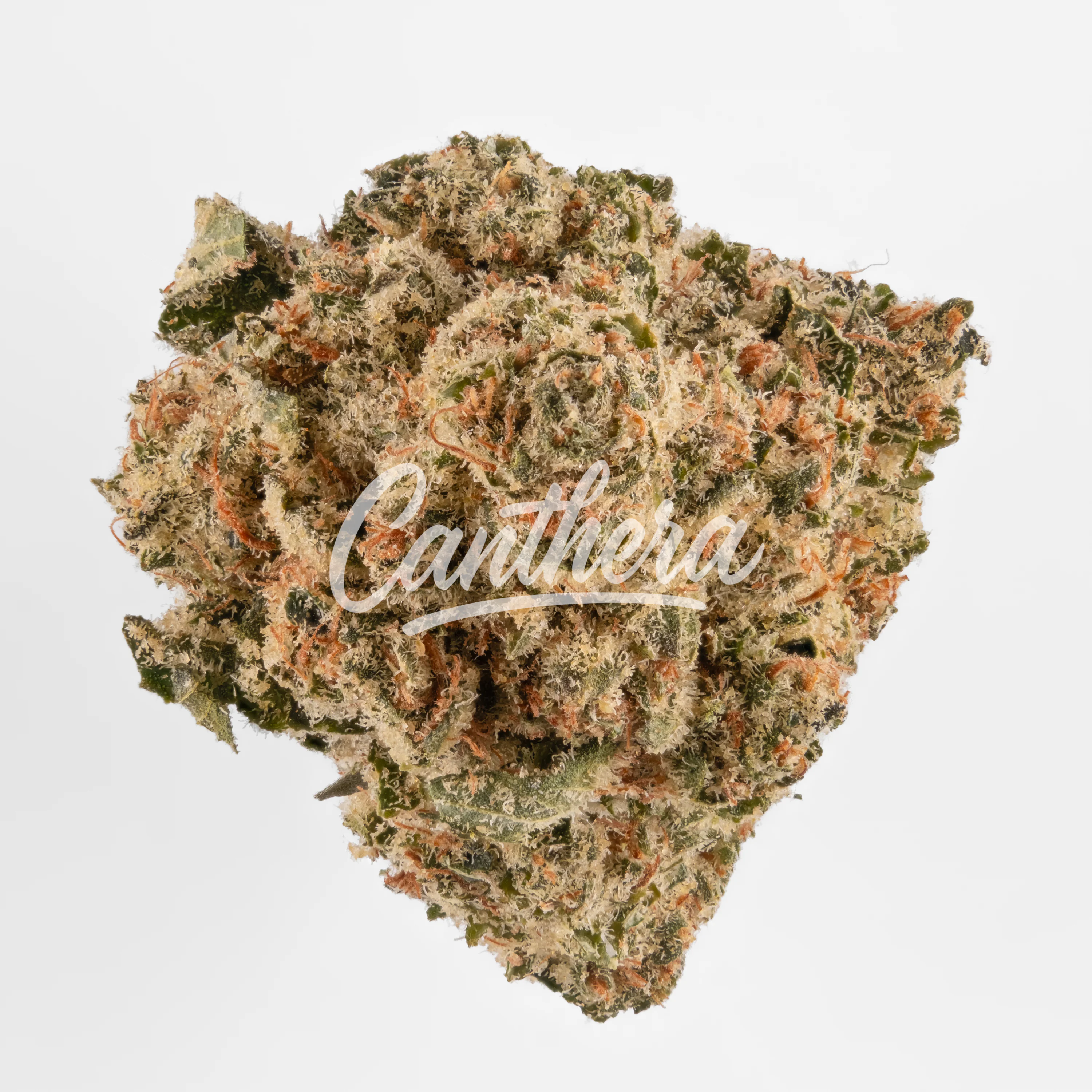 Huala 20/1 CA ALM - Alien Mints Huala 20/1 CA ALM - Alien Mints