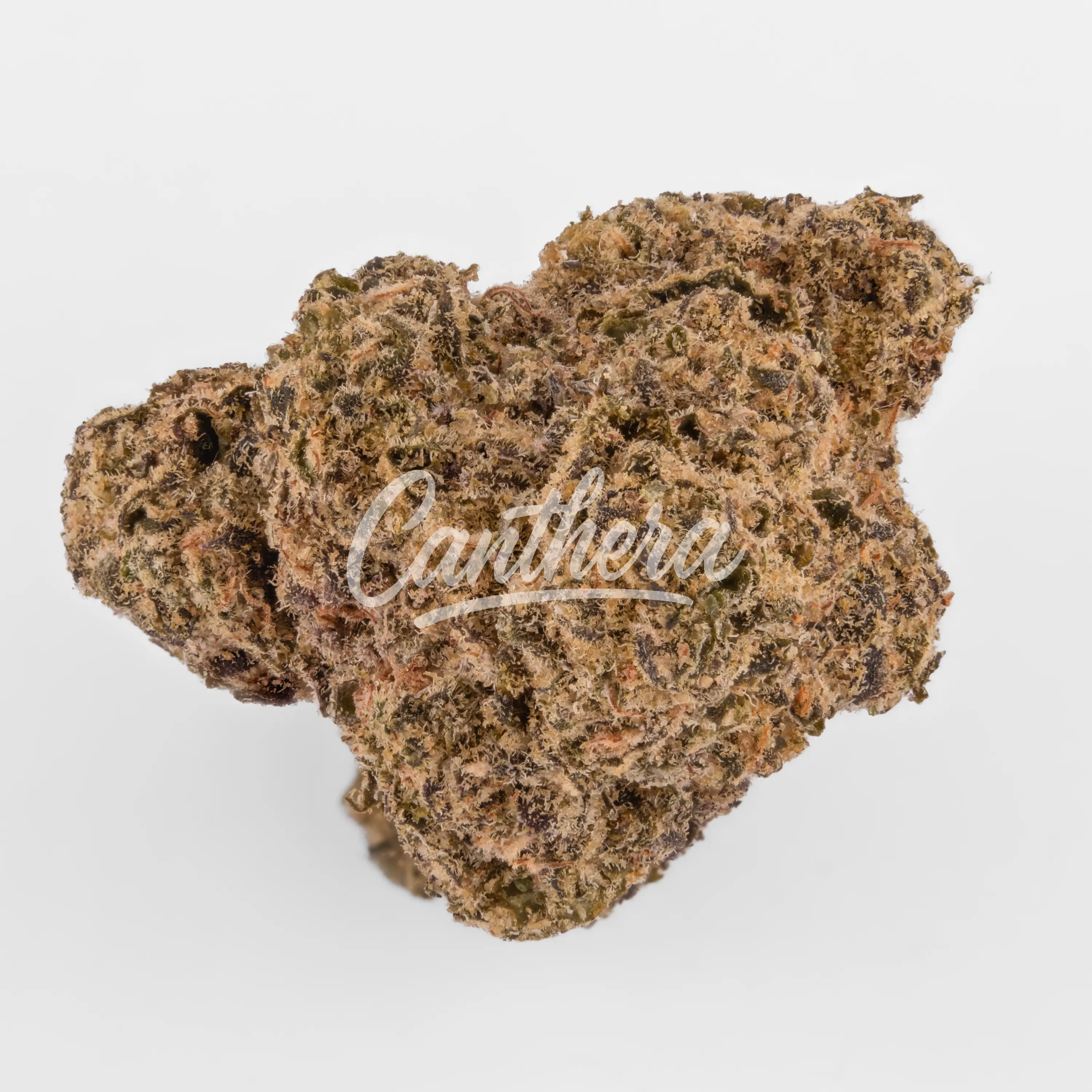 CM Craft No.1 30/1 - Scratch n Sniff Nahaufnahme einer medizinischen Cannabisblüte