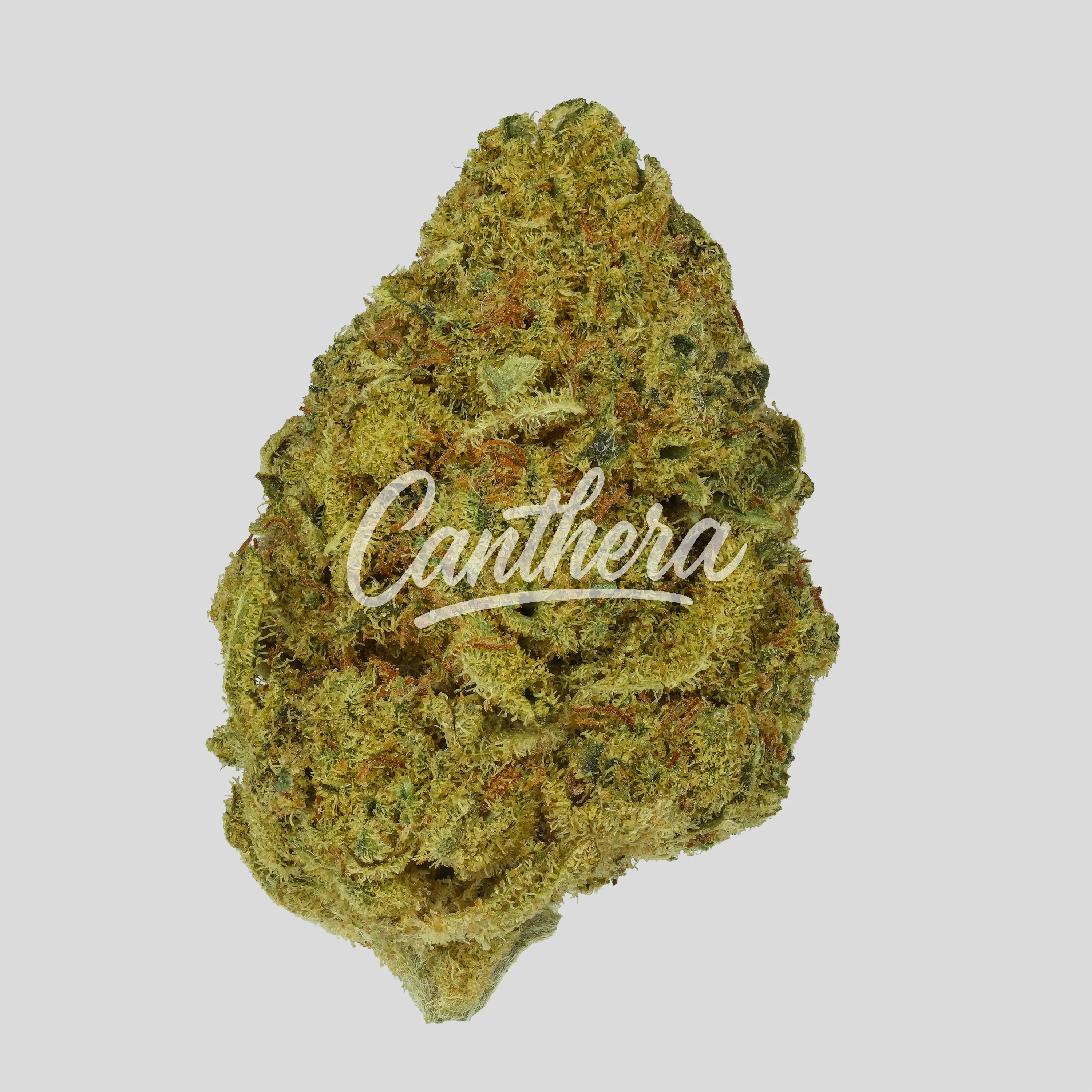 Remexian 21/1 CHR - Citrus Bowl 