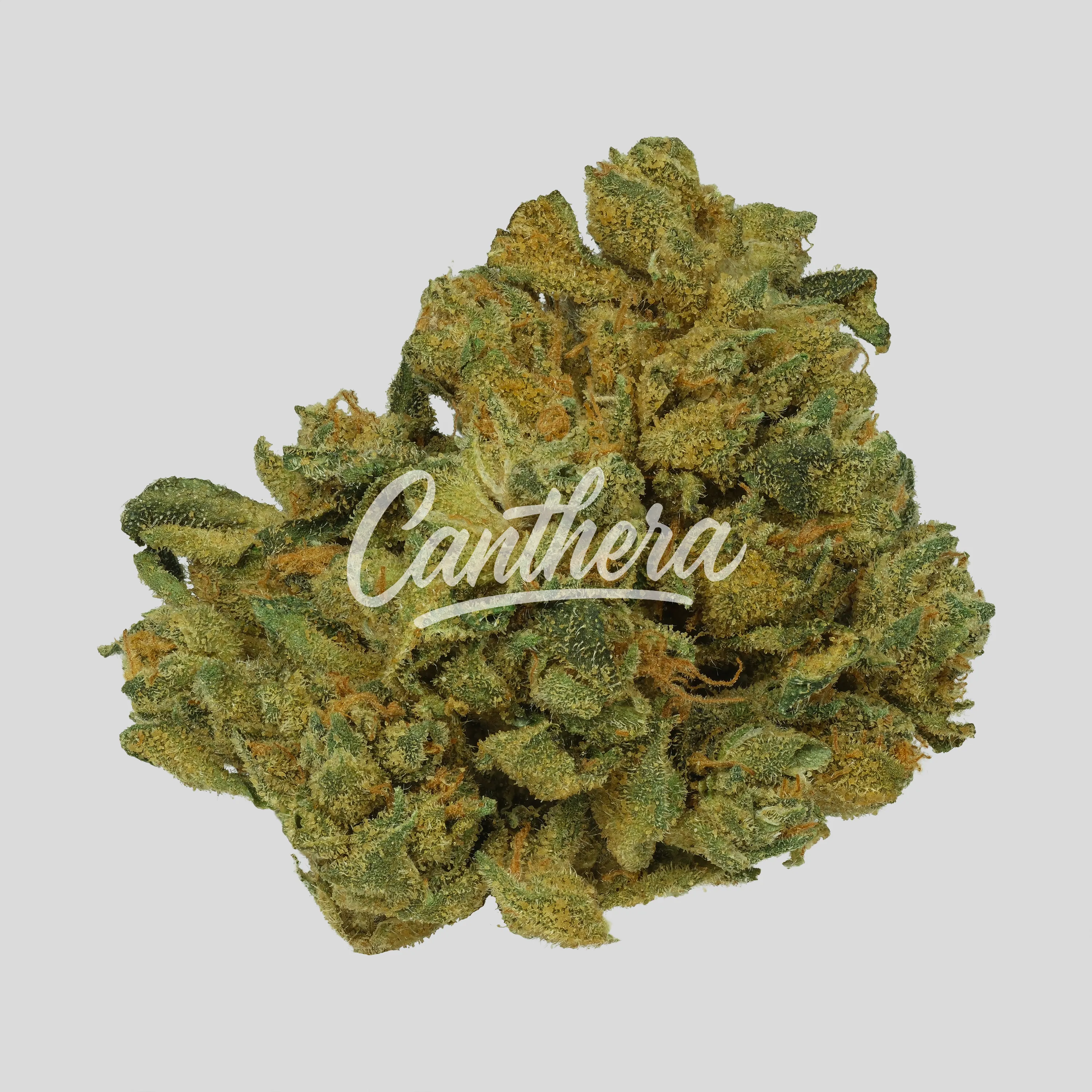 Demecan Core Lume 26:01 - Lemon Z