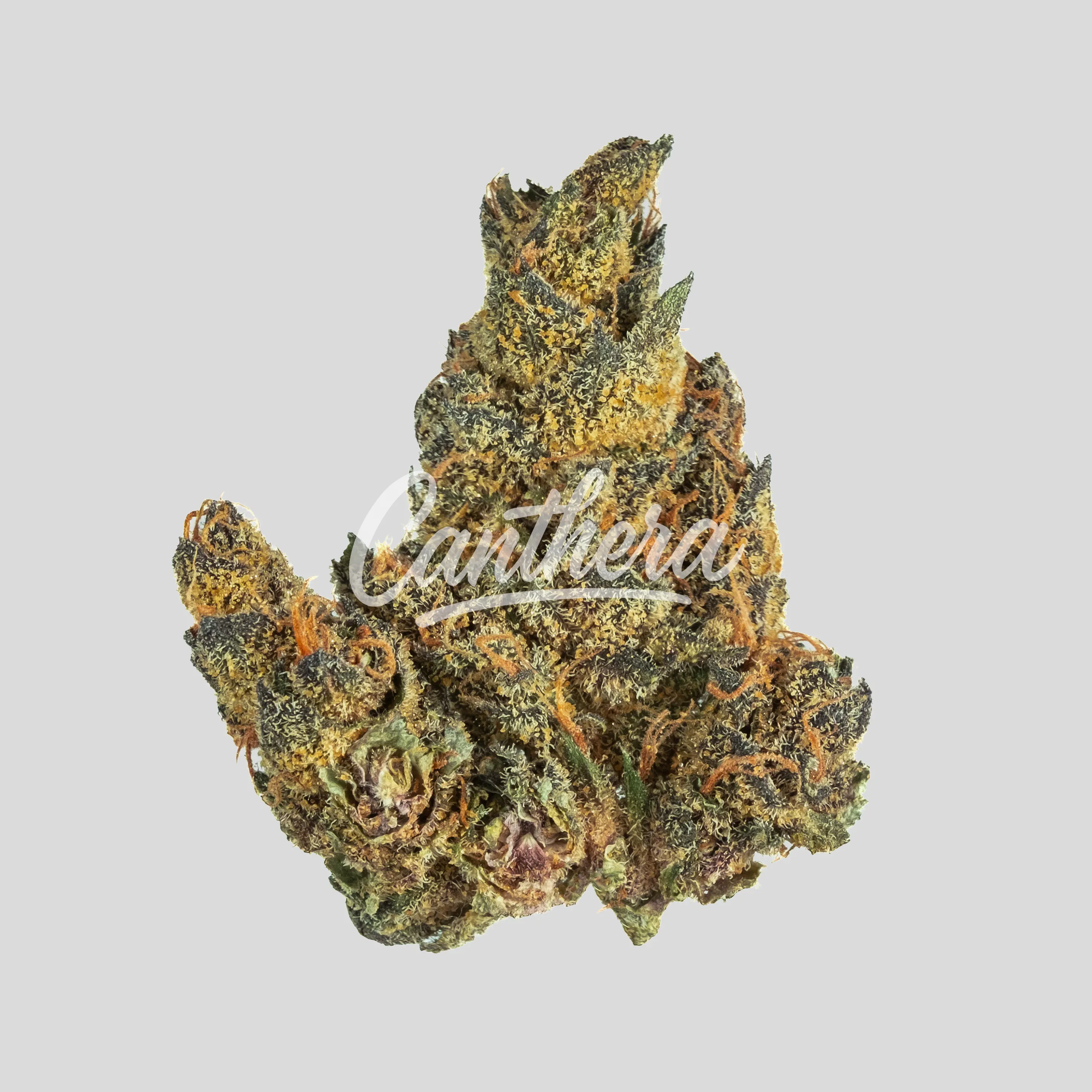 420 Natural 19/1 CA TRP - Tropicana Cookies 420 Natural 19/1 CA TRP - Tropicana Cookies