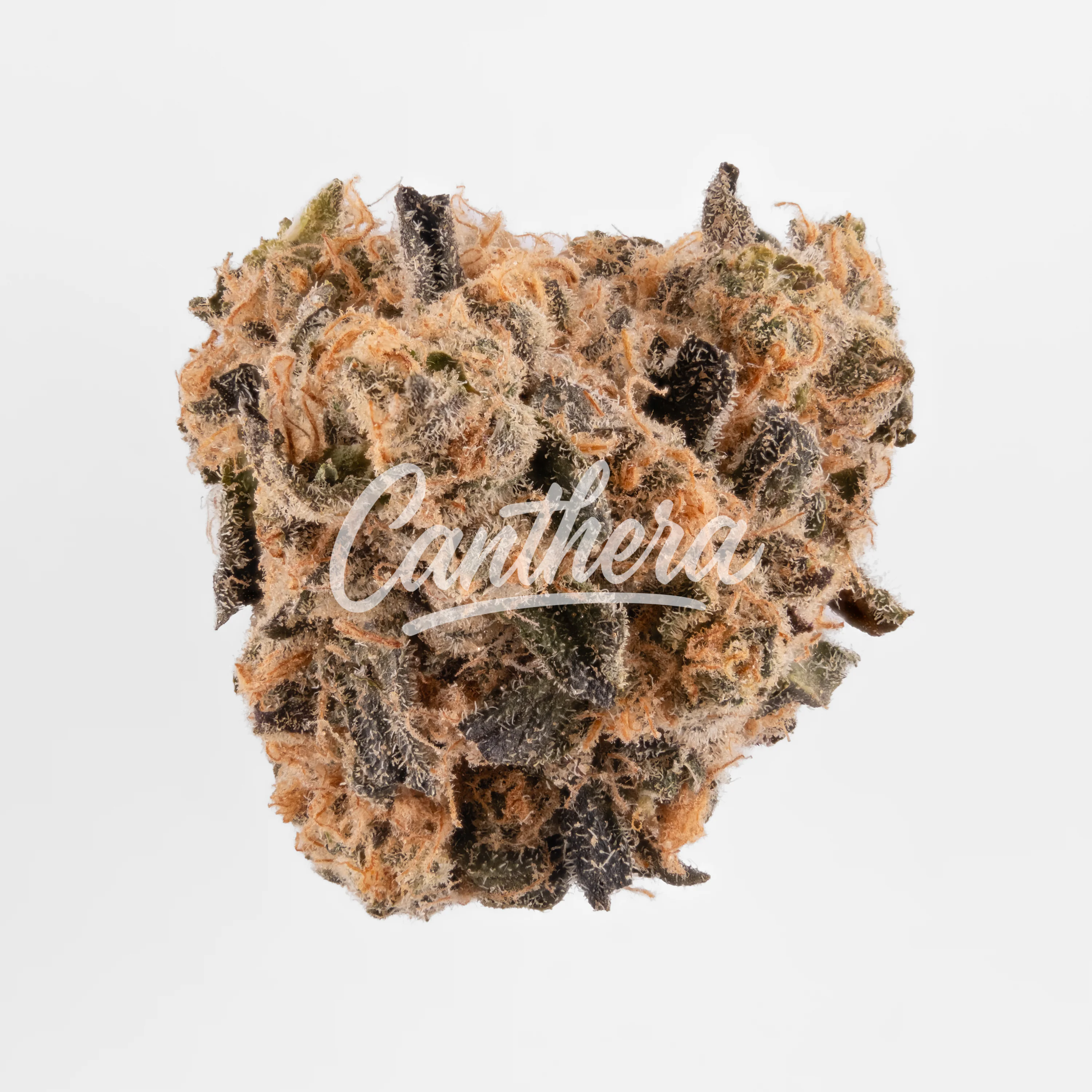 Pretty Smalls ICC 21/1 Ice Cream Cake