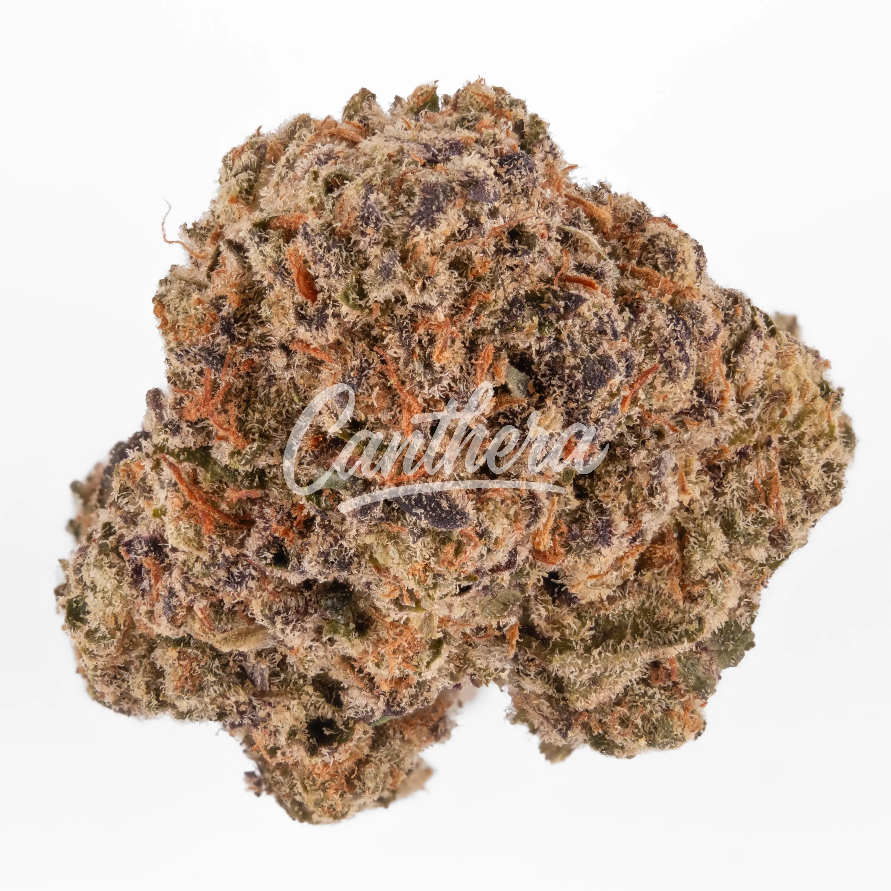 420 Compound 20/1 PT TGY - Tigerz Eye