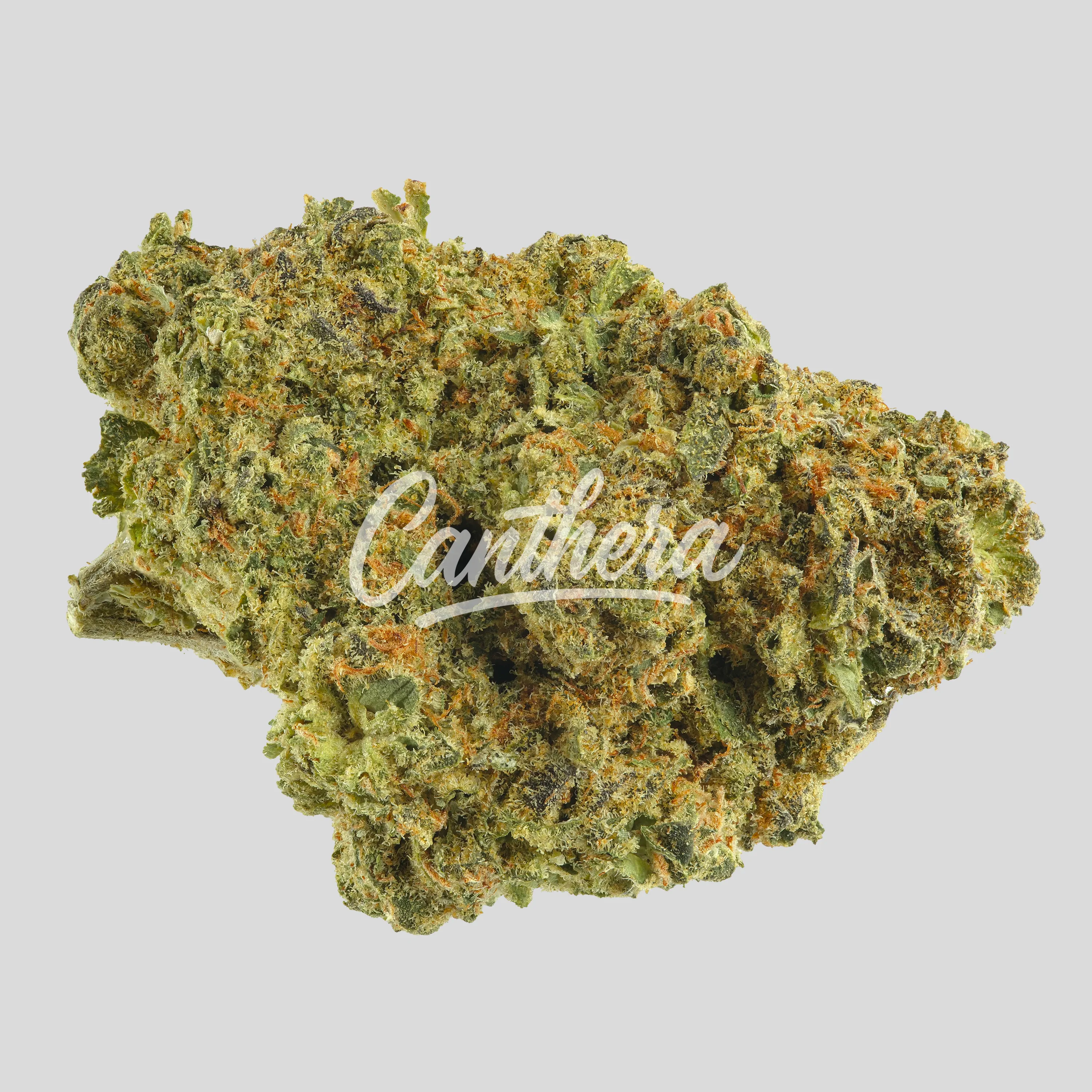 Remexian 21/1 CHR - Blunicorn BCO