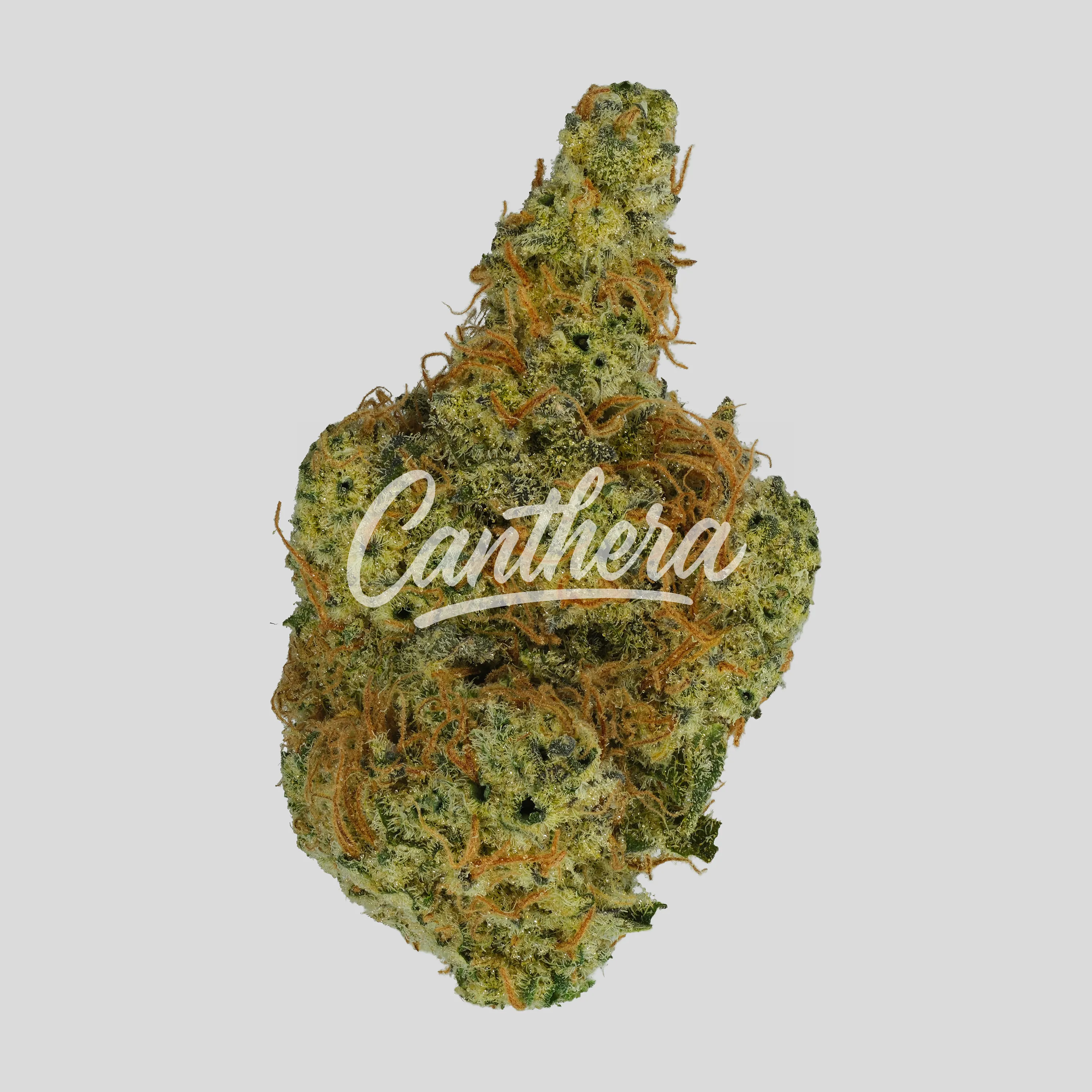 PG Strong Drop 27:01 - Gas Face PG Strong Drop 27:01 - Gas Face