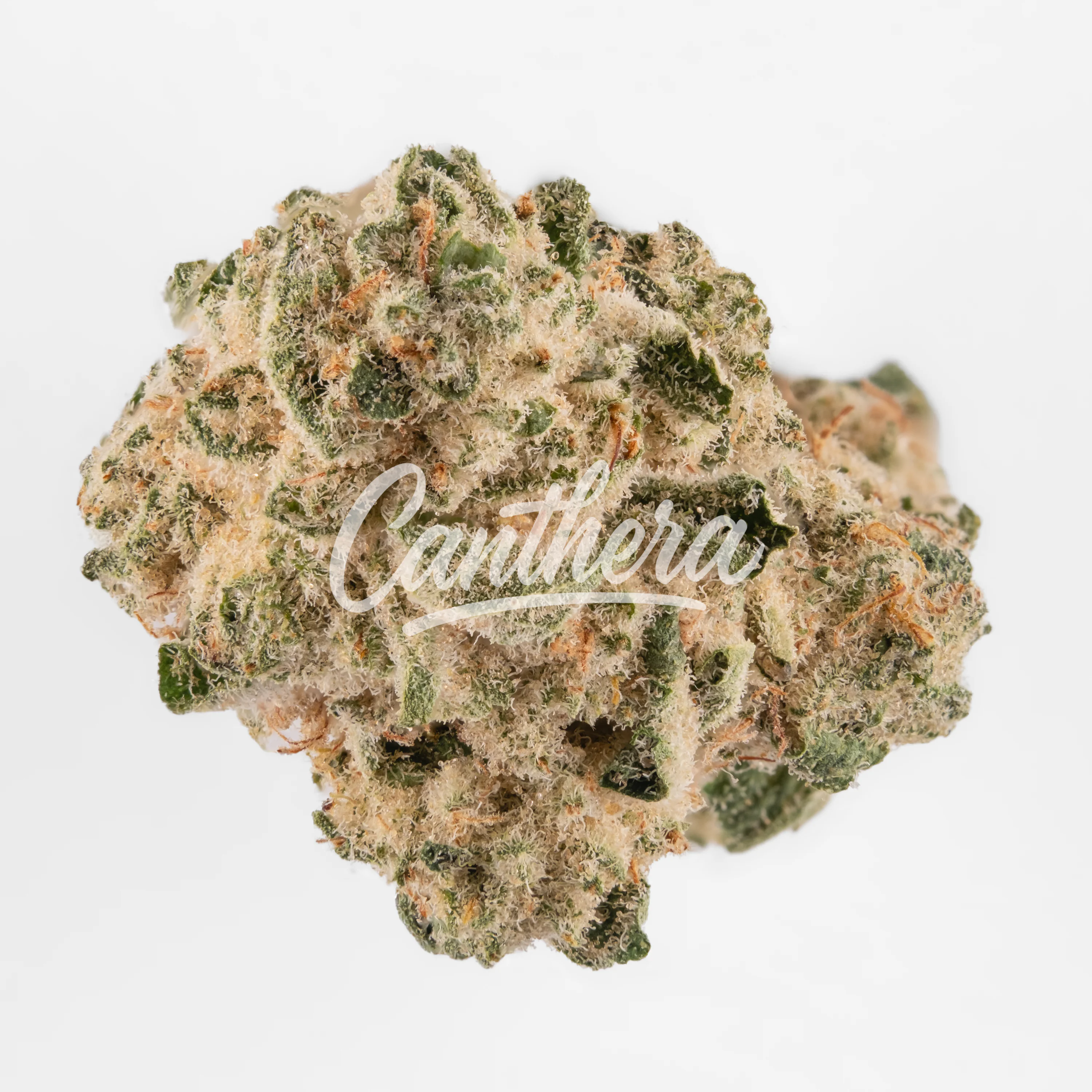 Demecan Serenova 31/1 CJ Cap Junky Demecan Serenova 31/1 CJ Cap Junky